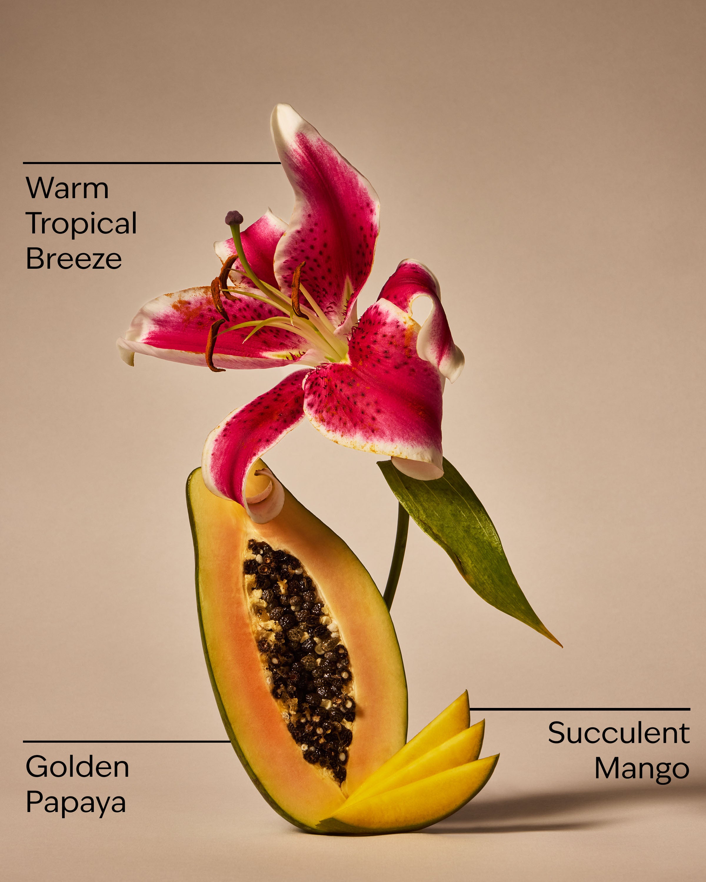 Mango Papaya Paradise PocketBac Hand Sanitizer