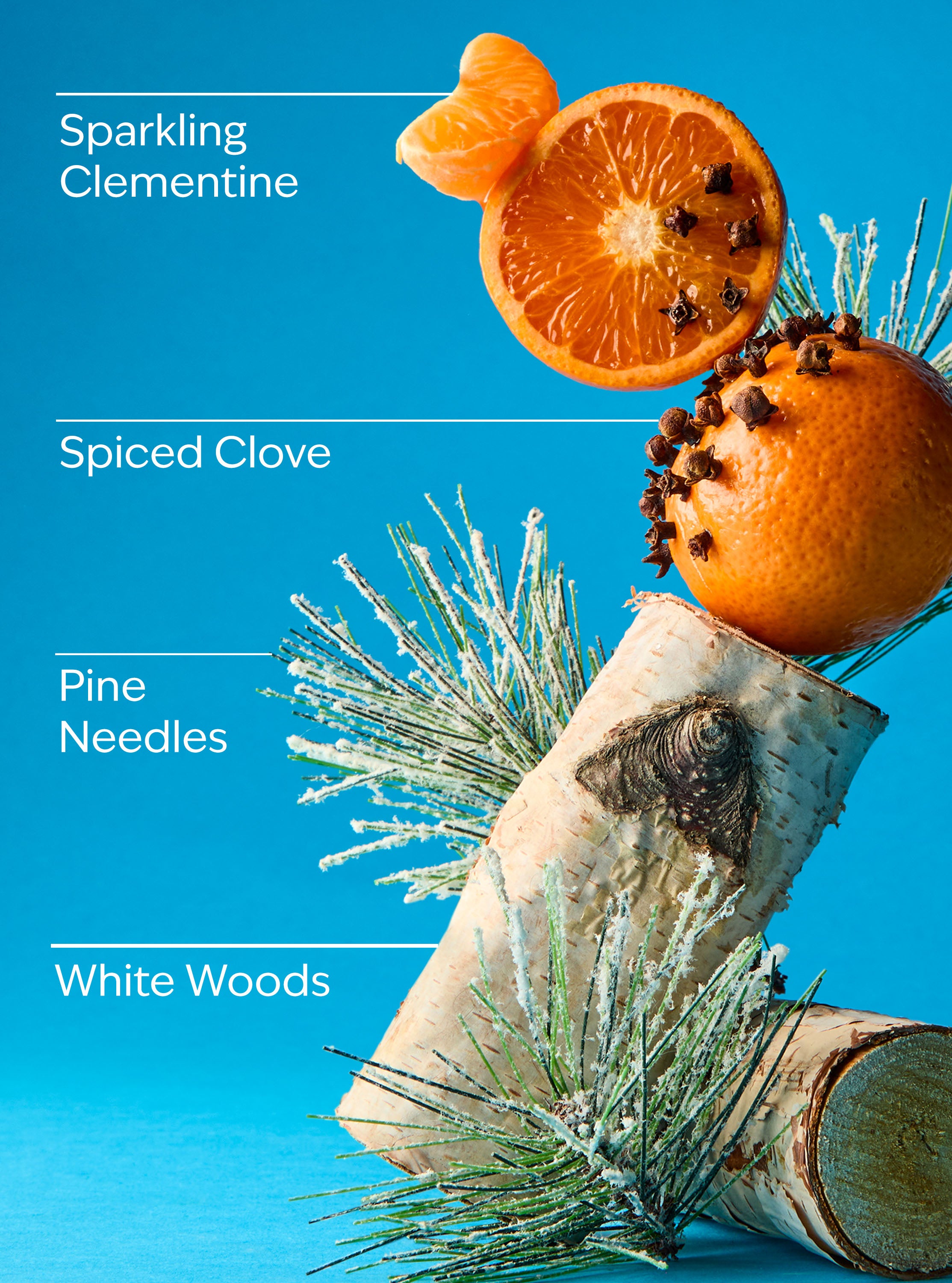 Winter Gentle & Clean Foaming Refill