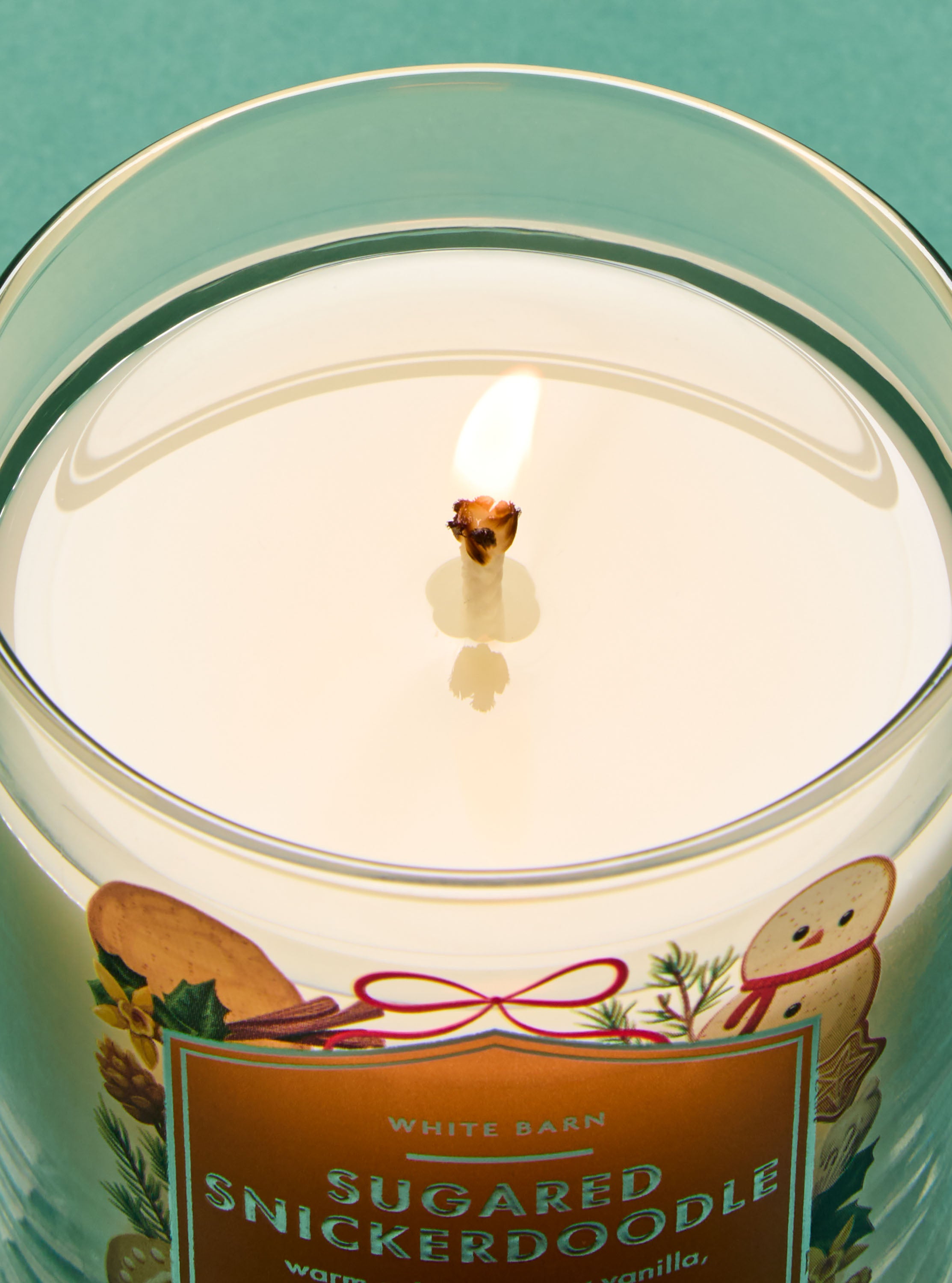 Sugared Snickerdoodle Single Wick Candle