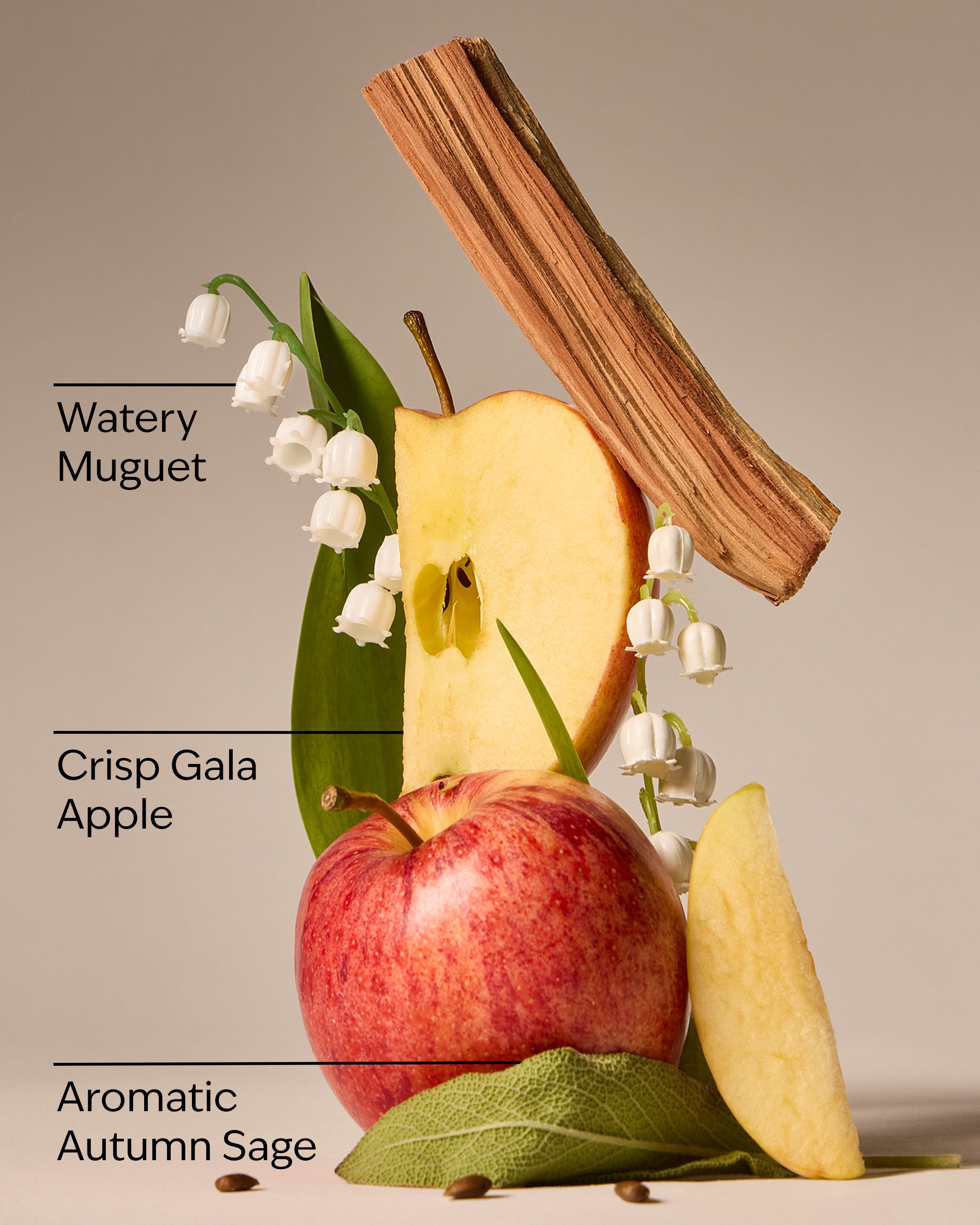 Country Apple Wallflowers Fragrance Refill
