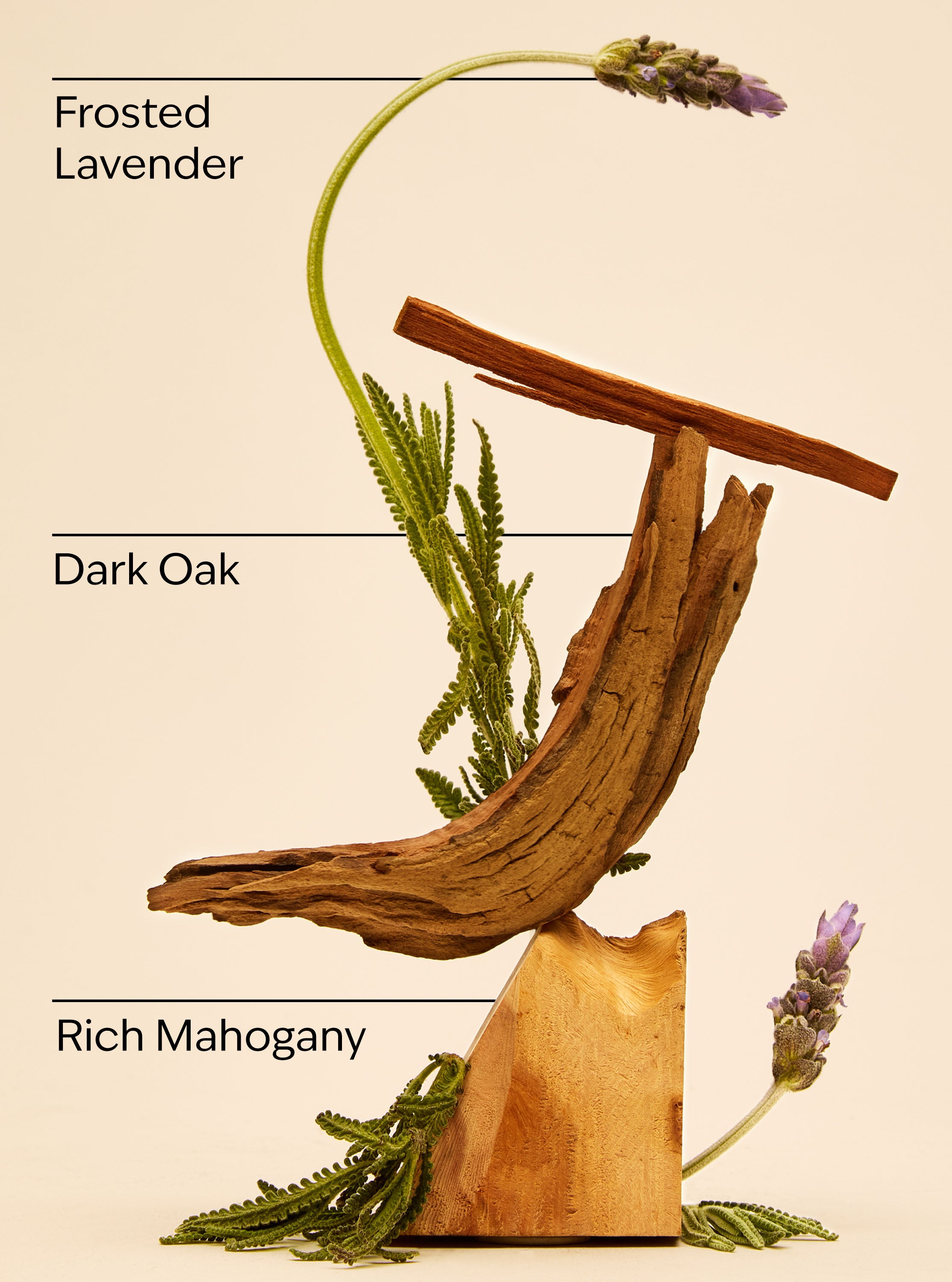 Mahogany Teakwood Cologne