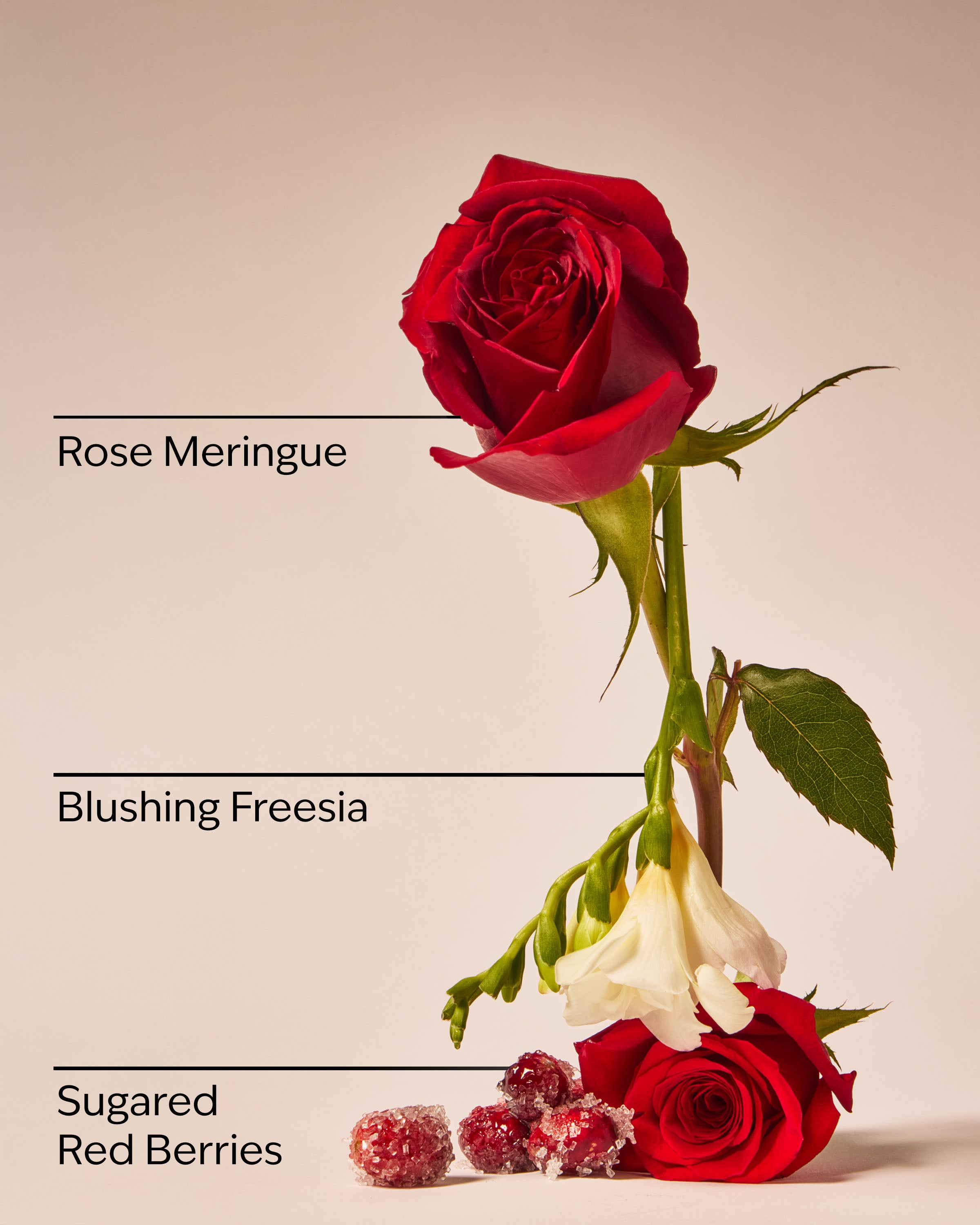 Gingham Love Body Lotion