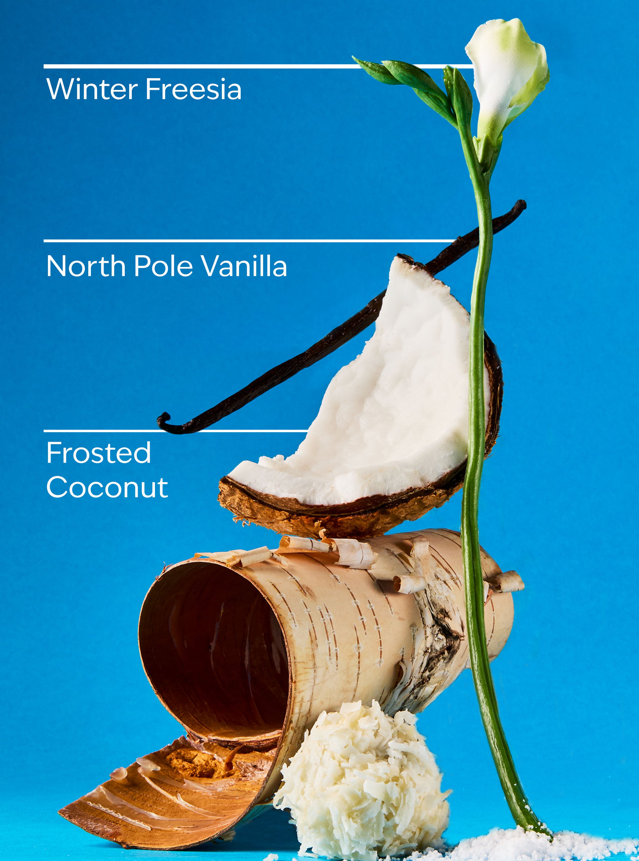 Frosted Coconut Snowball Fine Fragrance Mist
