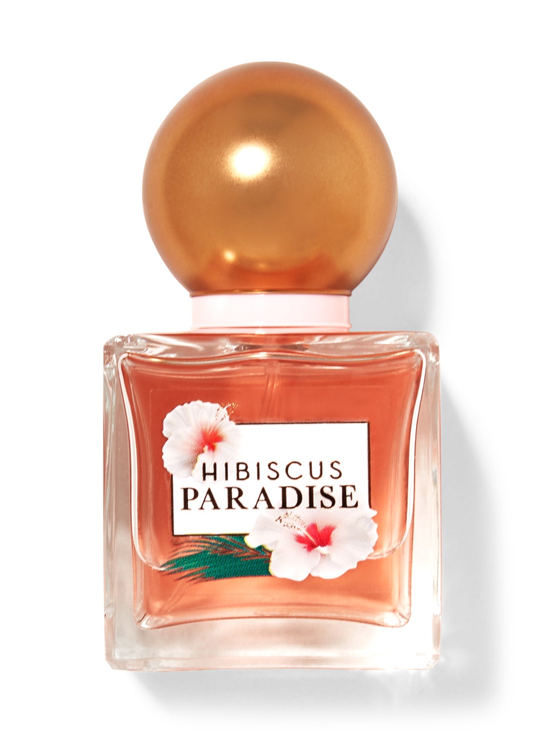 Hibiscus Paradise