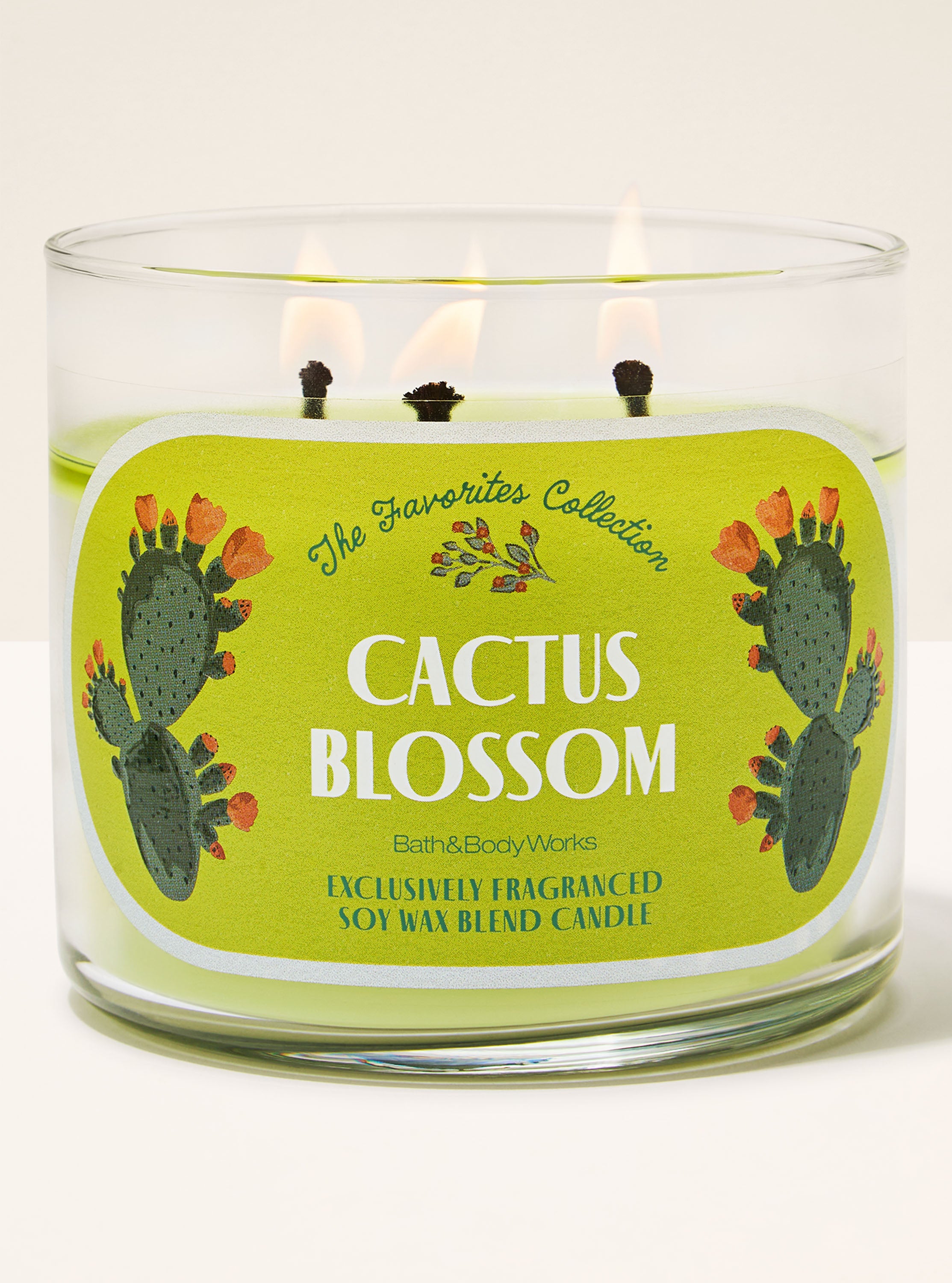 Cactus Blossom 3-Wick Candle
