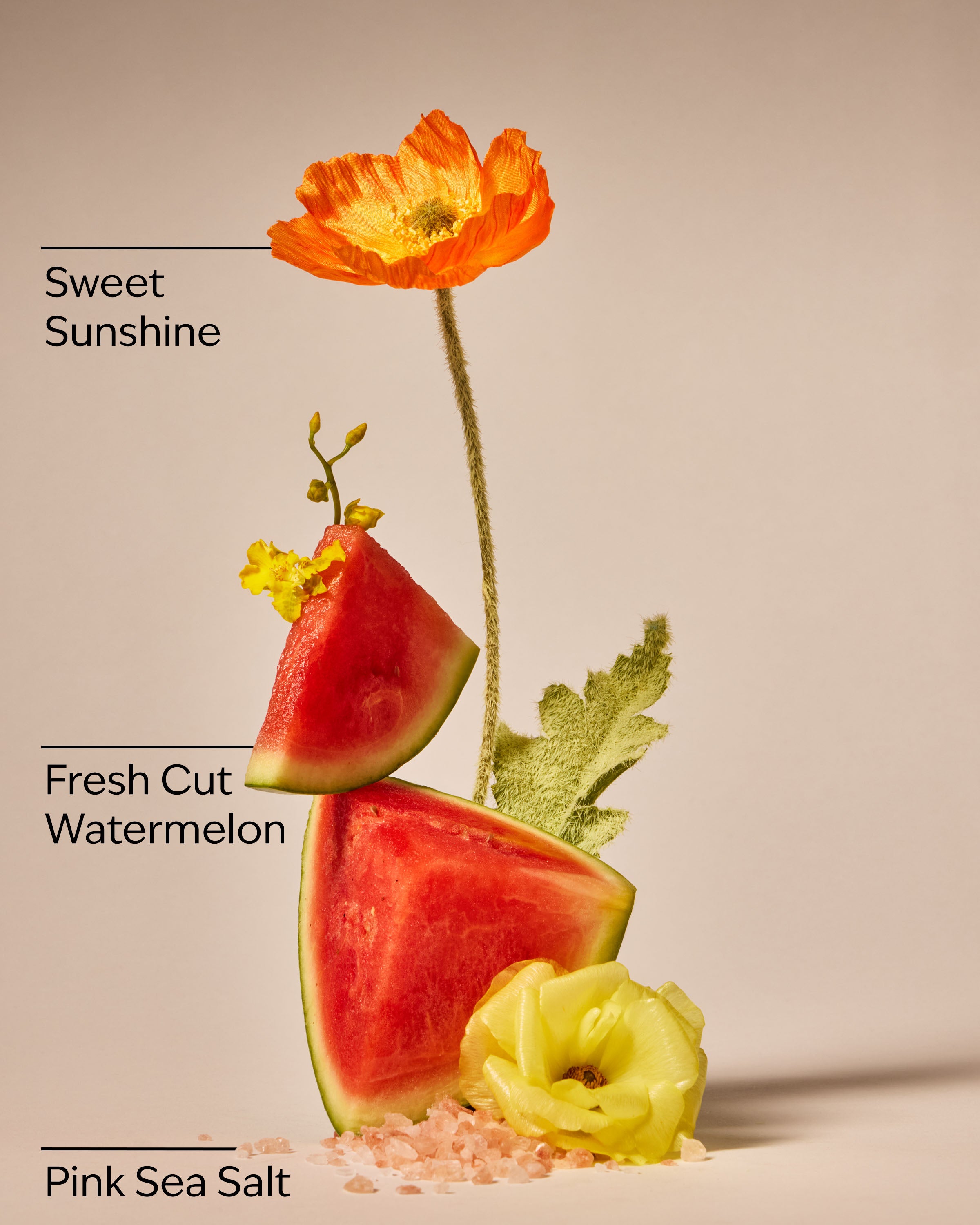 Fresh Watermelon Revitalizing Gel Hand Soap