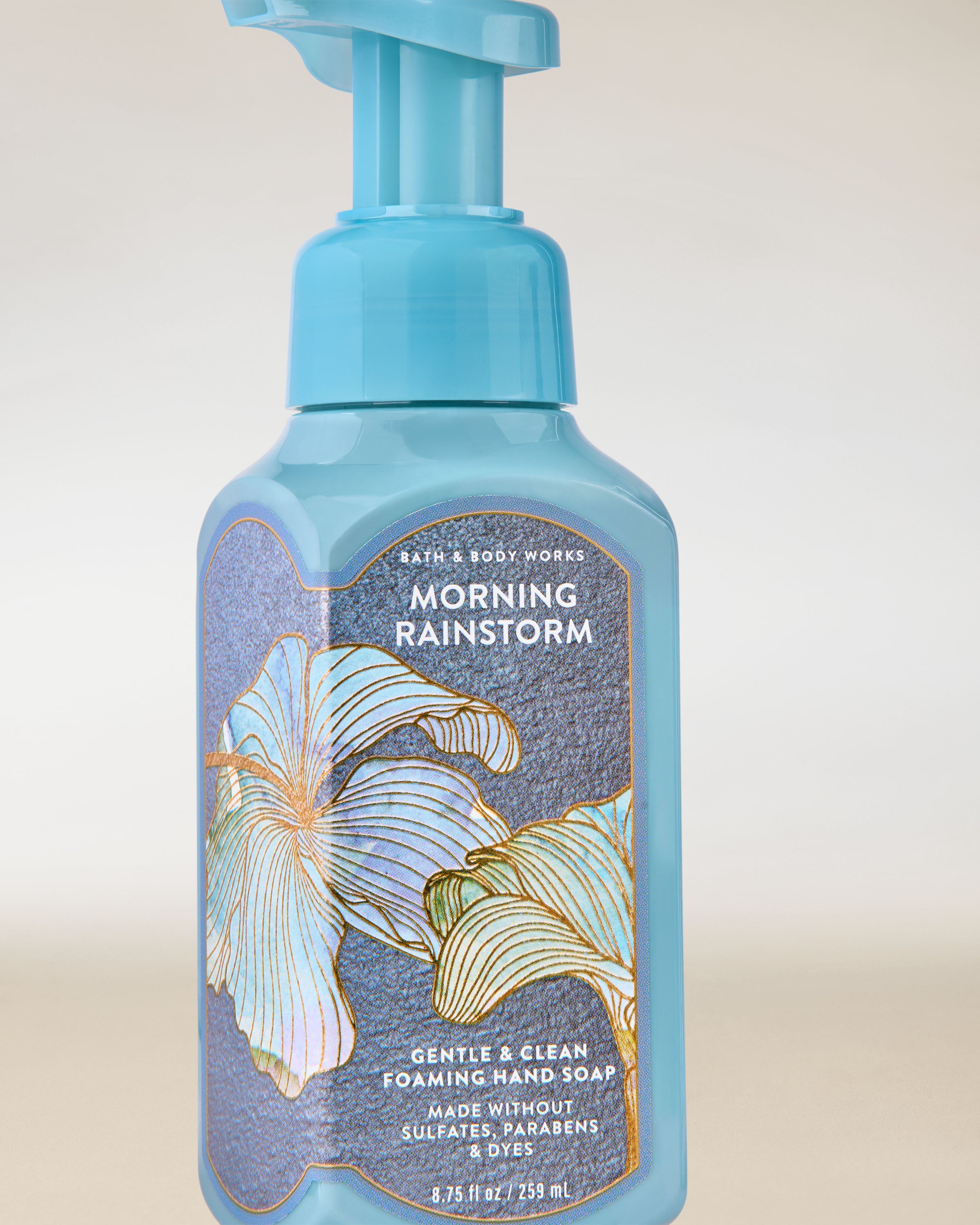Morning Rainstorm Gentle & Clean Foaming Hand Soap