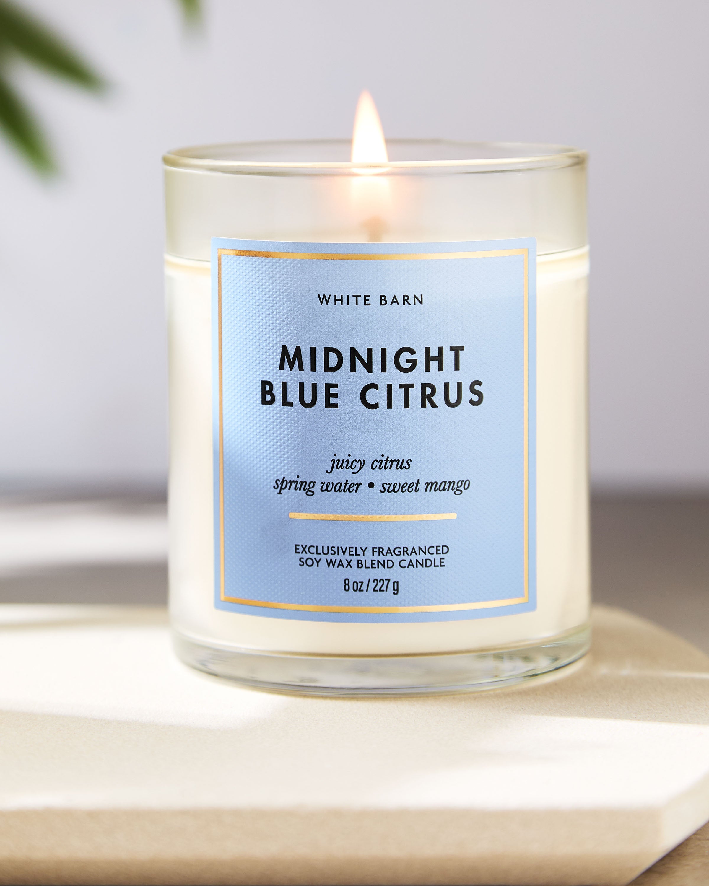 Midnight Blue Citrus Single Wick Candle