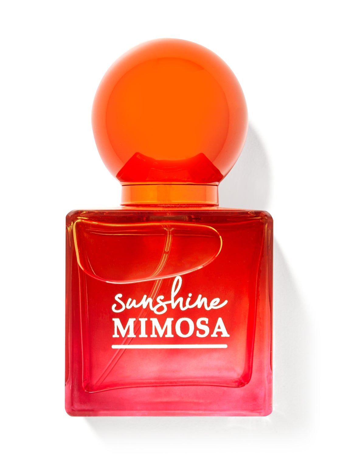 Sunshine Mimosa