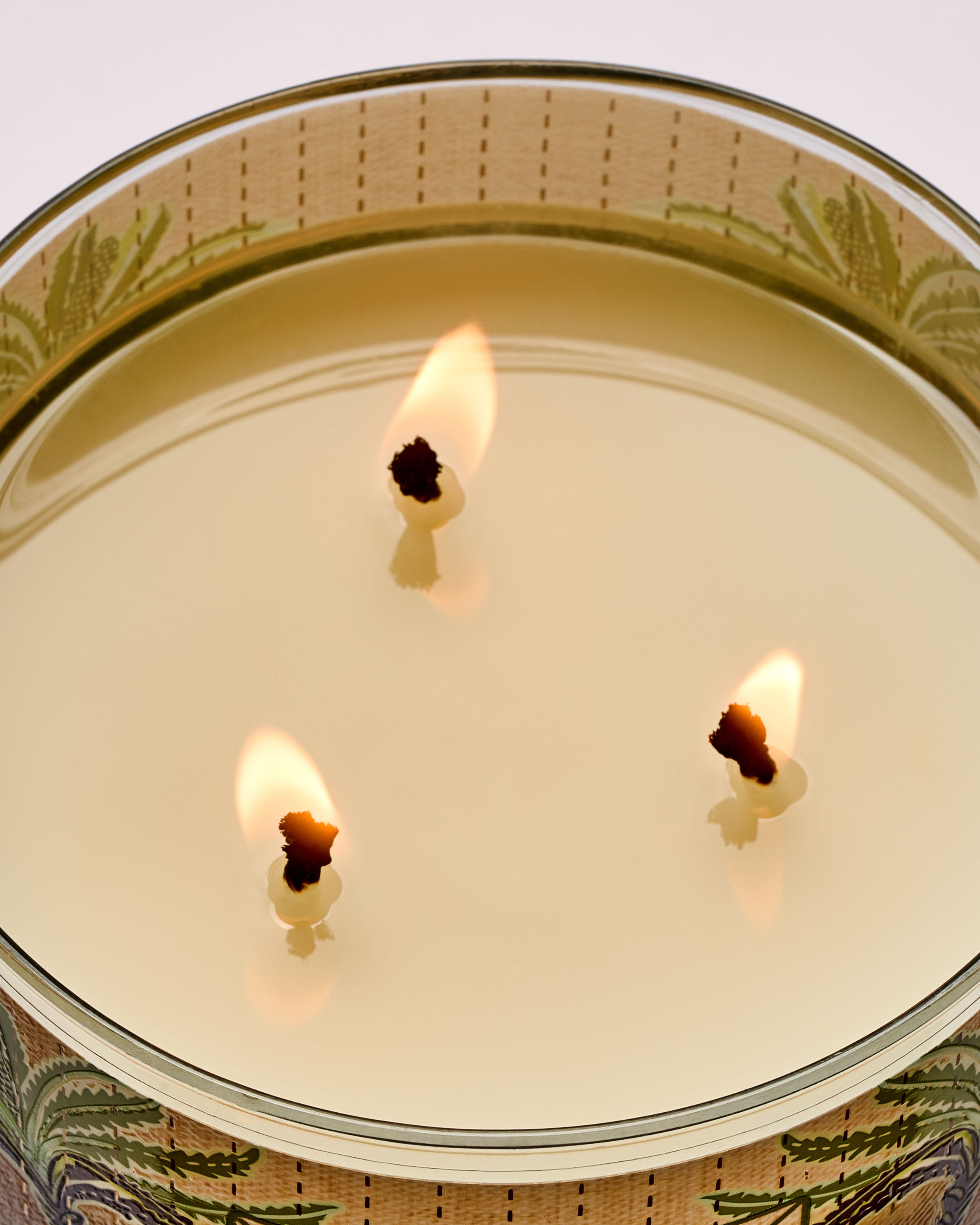 Waikiki Beach Coconut 3-Wick Candle