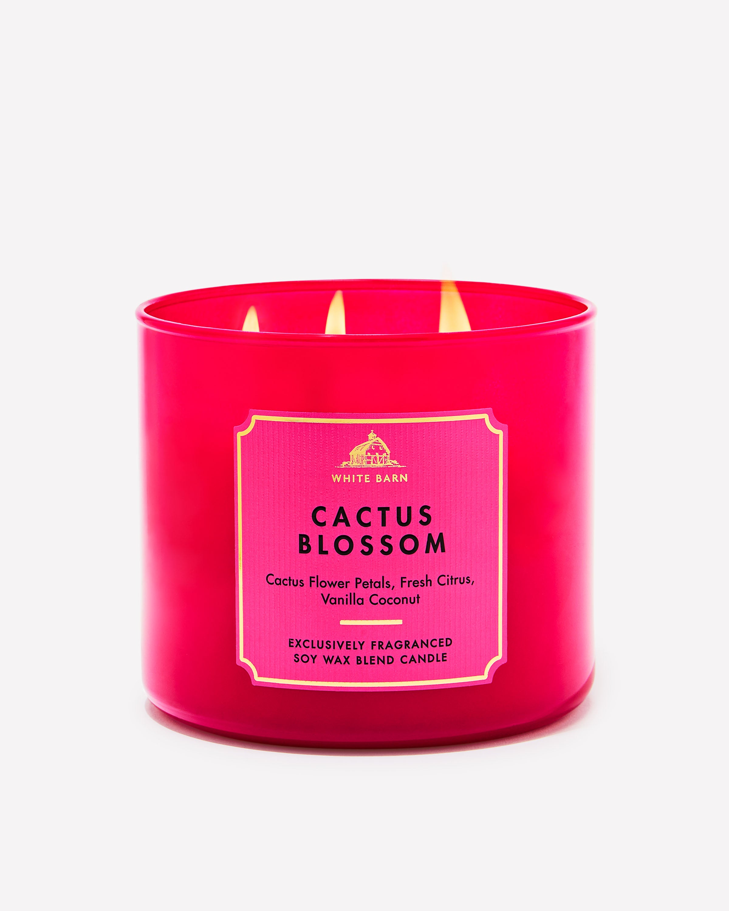 Cactus Blosom 3-Wick Candle