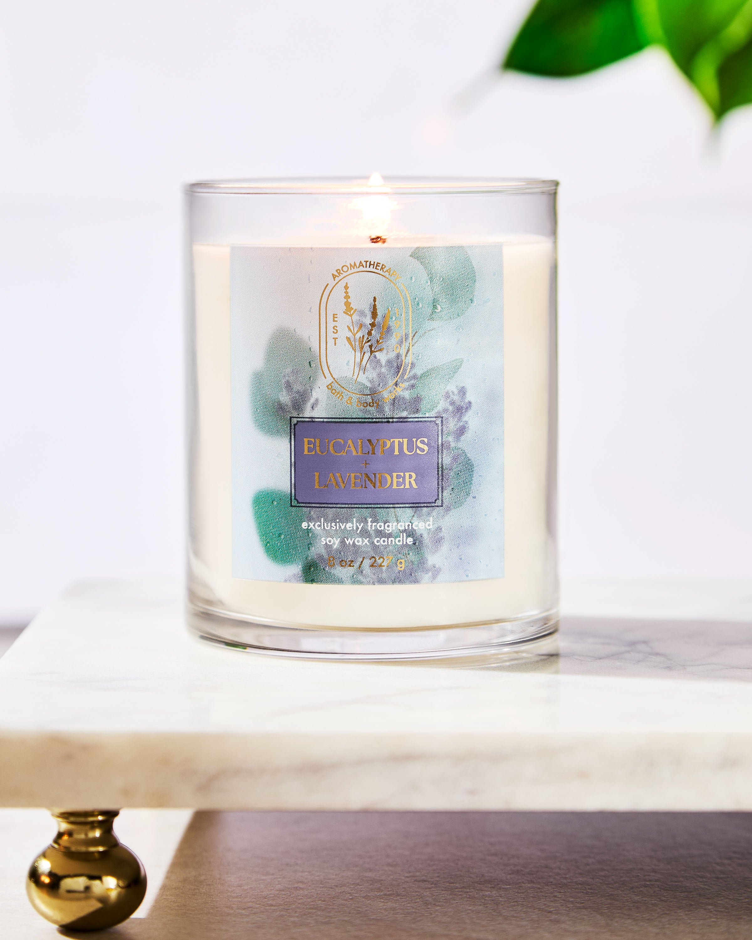 Eucalyptus Lavender Single Wick Candle