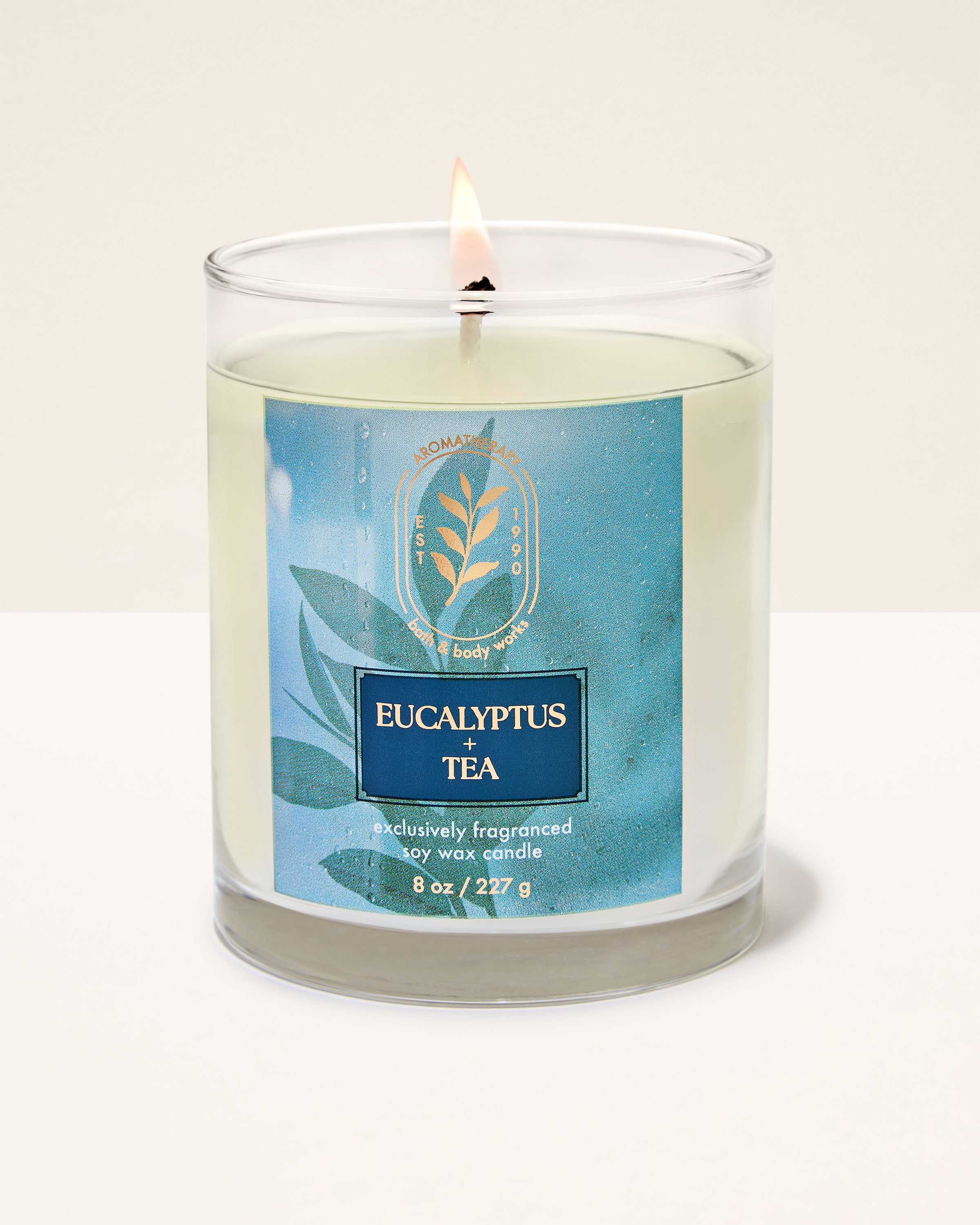 Eucalyptus Tea Single Wick Candle
