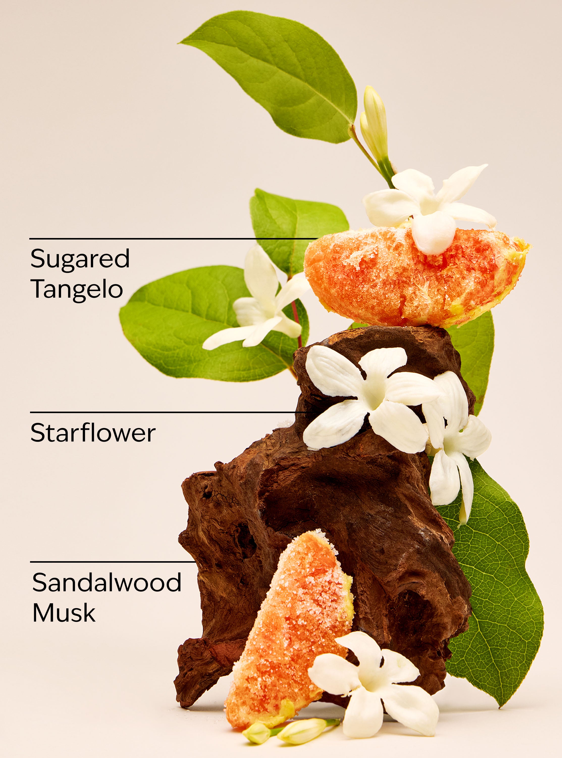 In the Stars Exfoliating Glow Body Scrub