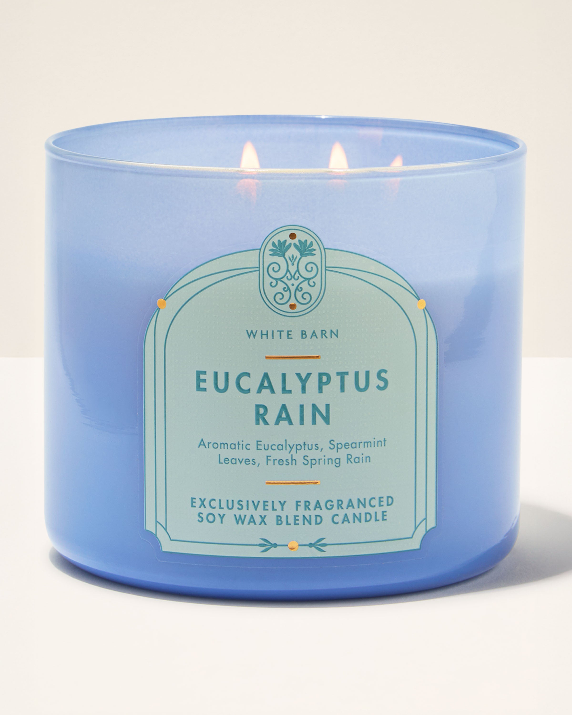 Eucalyptus Rain 3-Wick Candle