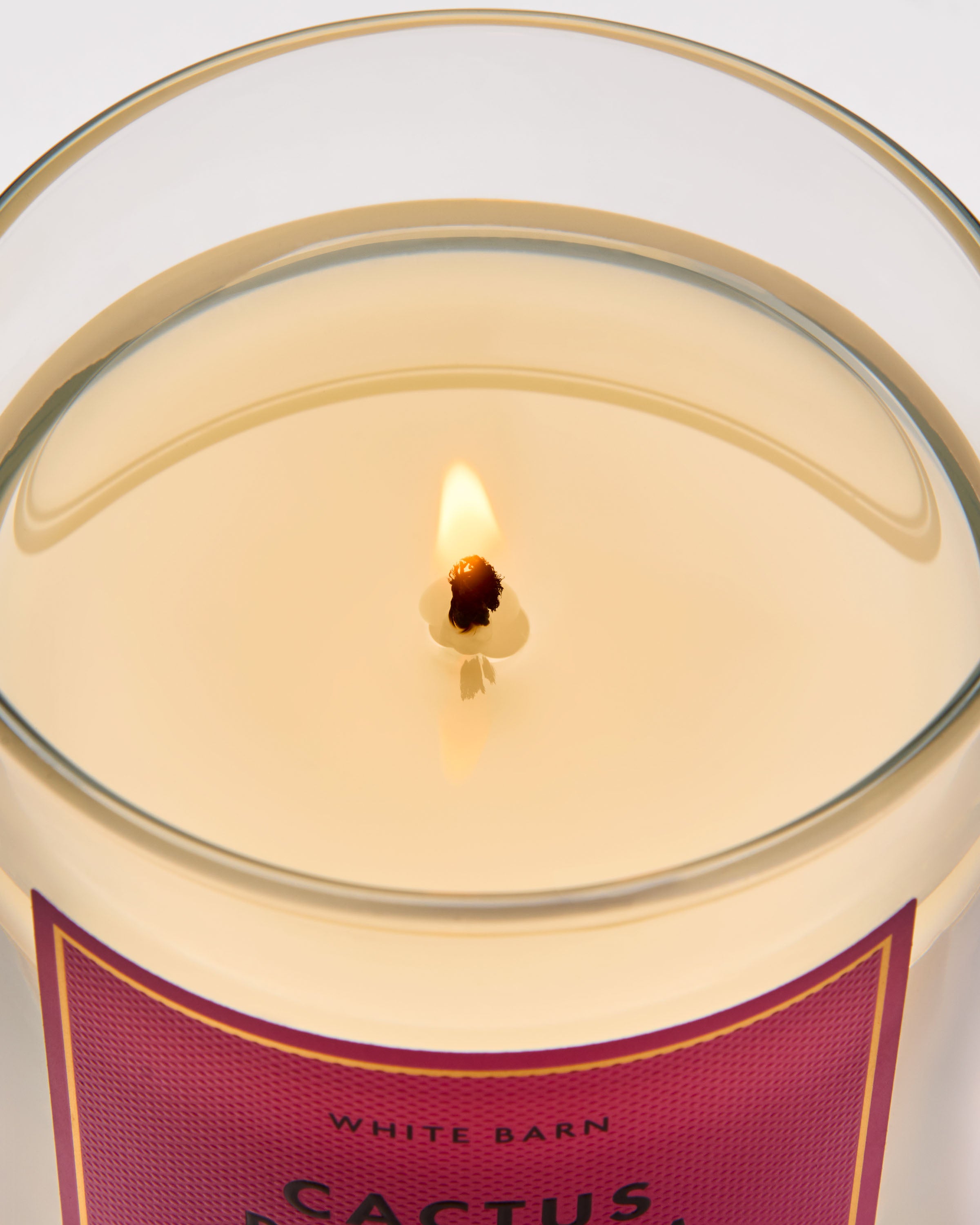 Cactus Blossom Single Wick Candle