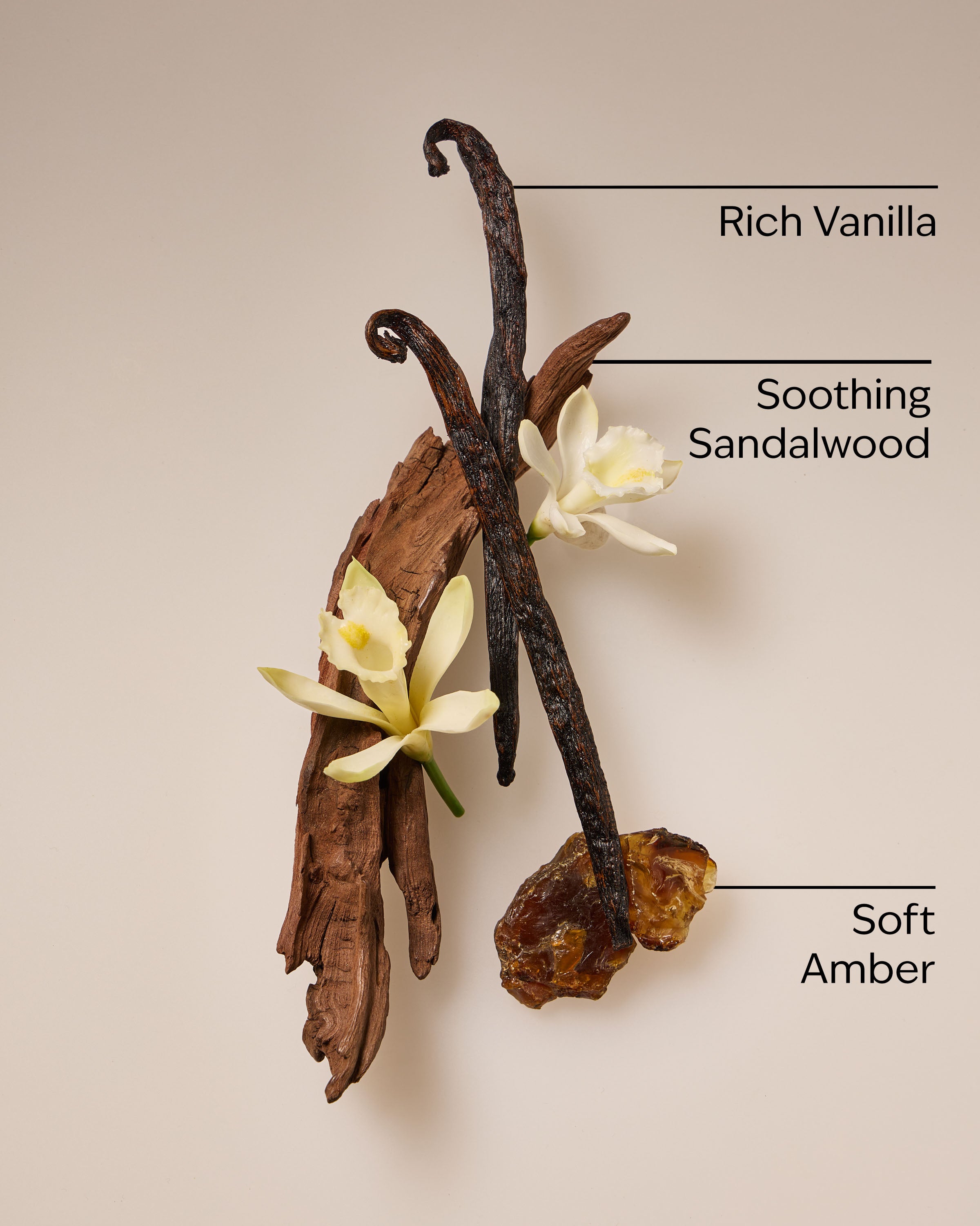Cozy Amber & Vanilla Single Wick Candle