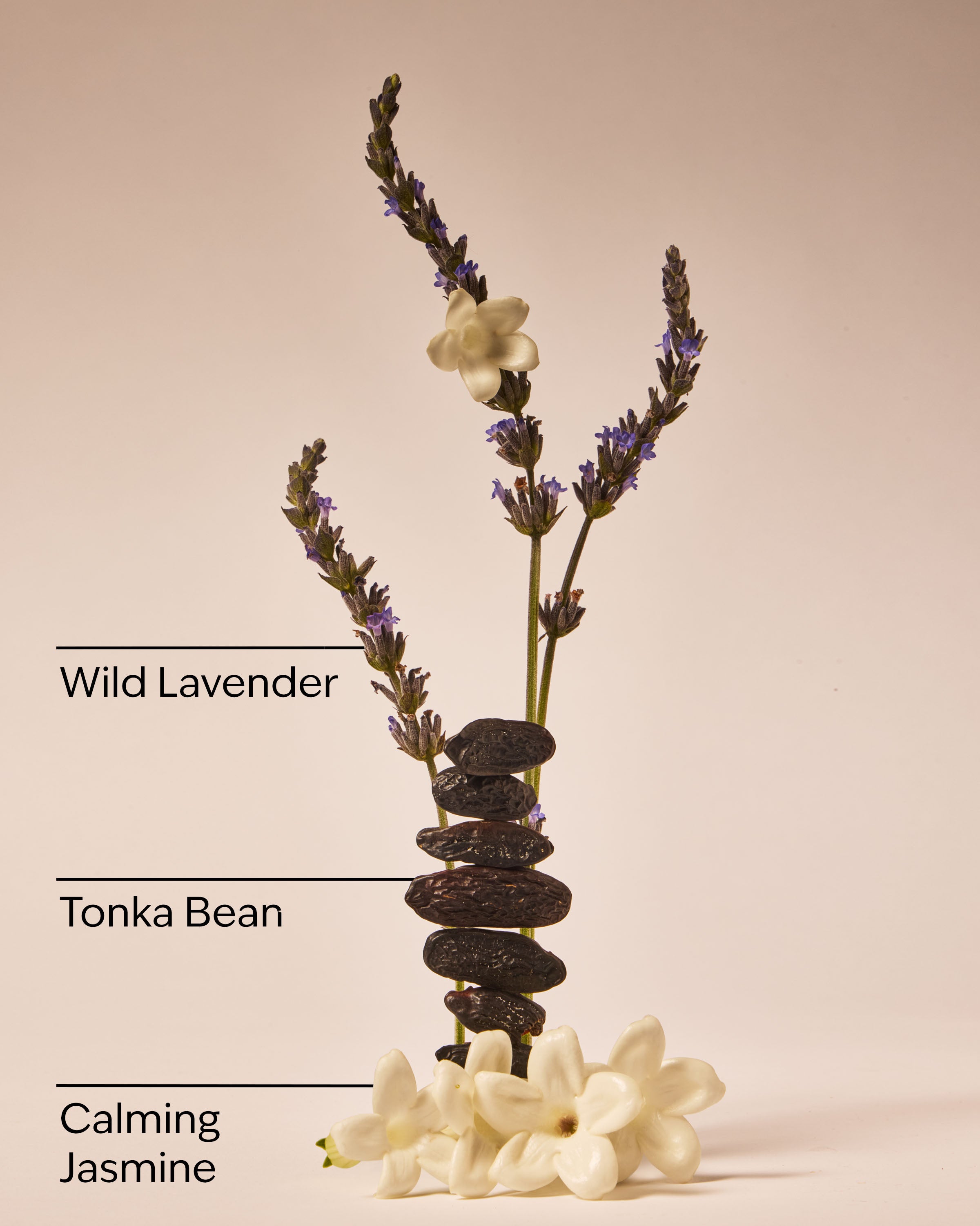 Sweet Lavender Daily Moisturizing Hand Soap