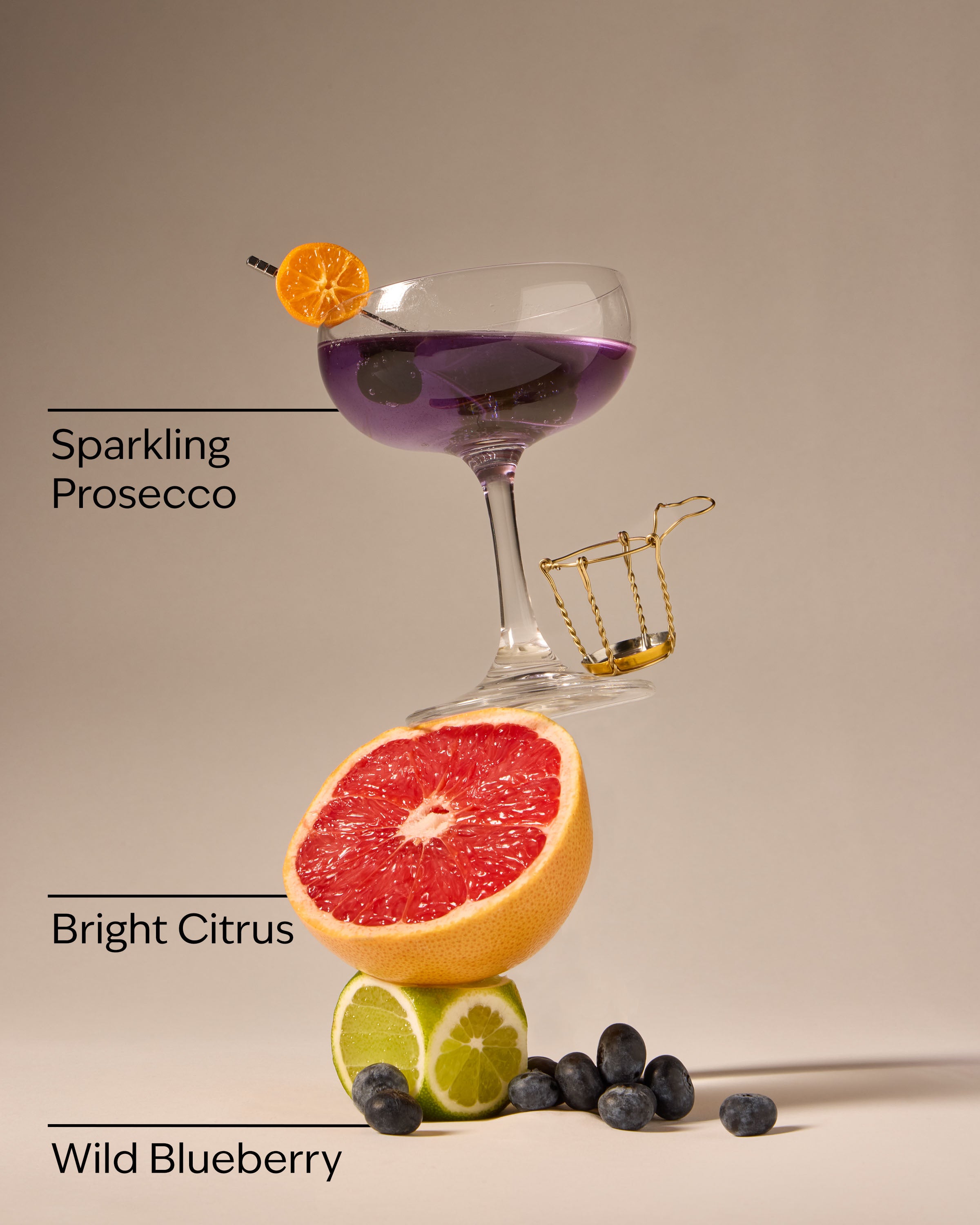 Blueberry Bellini Gentle & Clean Foaming Hand Soap