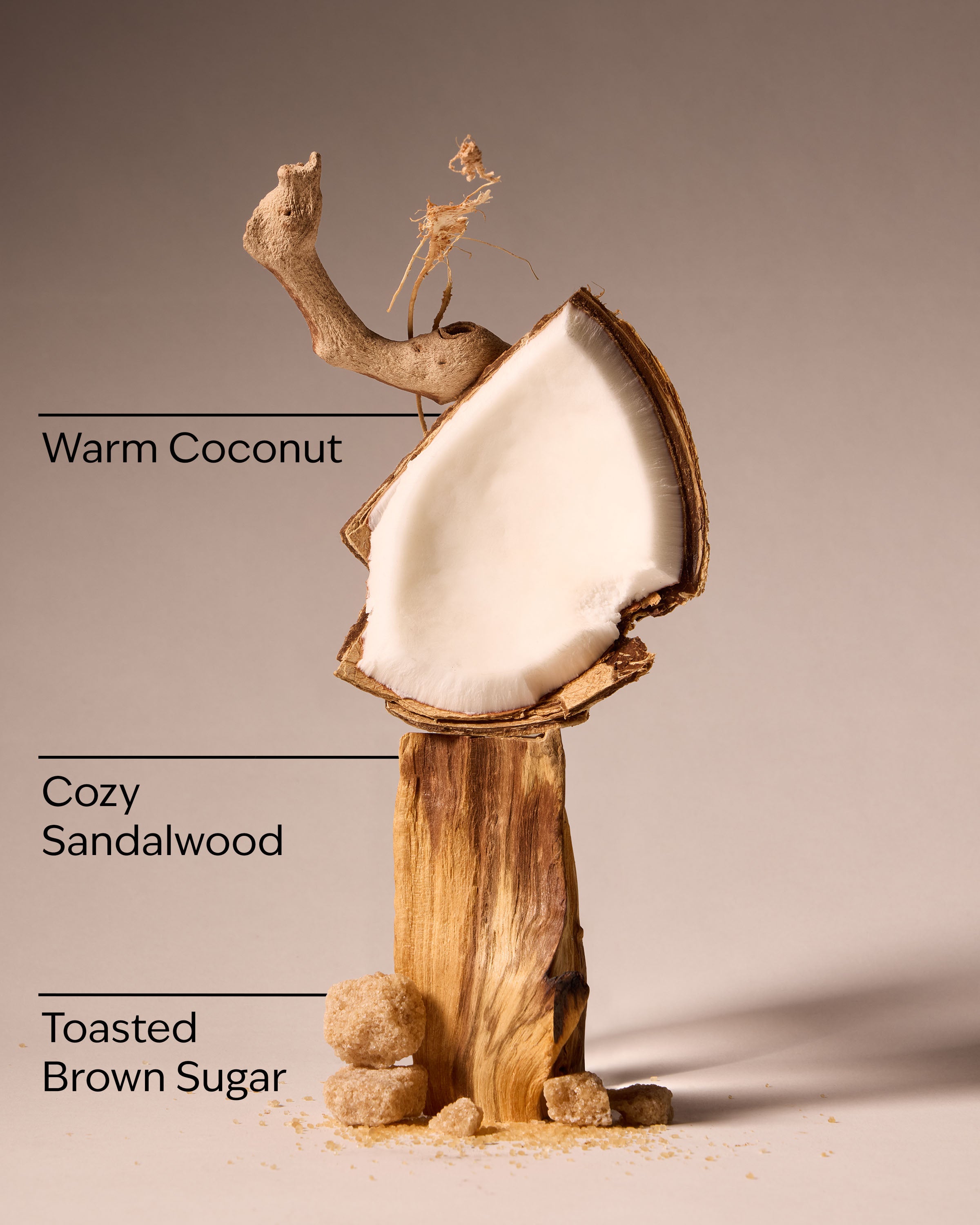 Brown Sugar & Coconut Revitalizing Gel Hand Soap