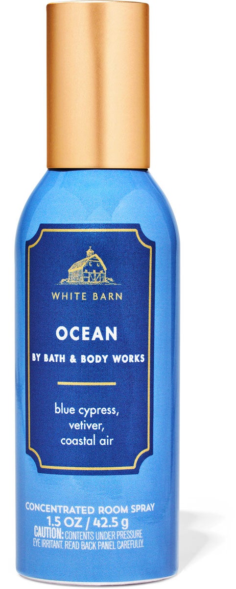 Ocean Concentrated Room Spray