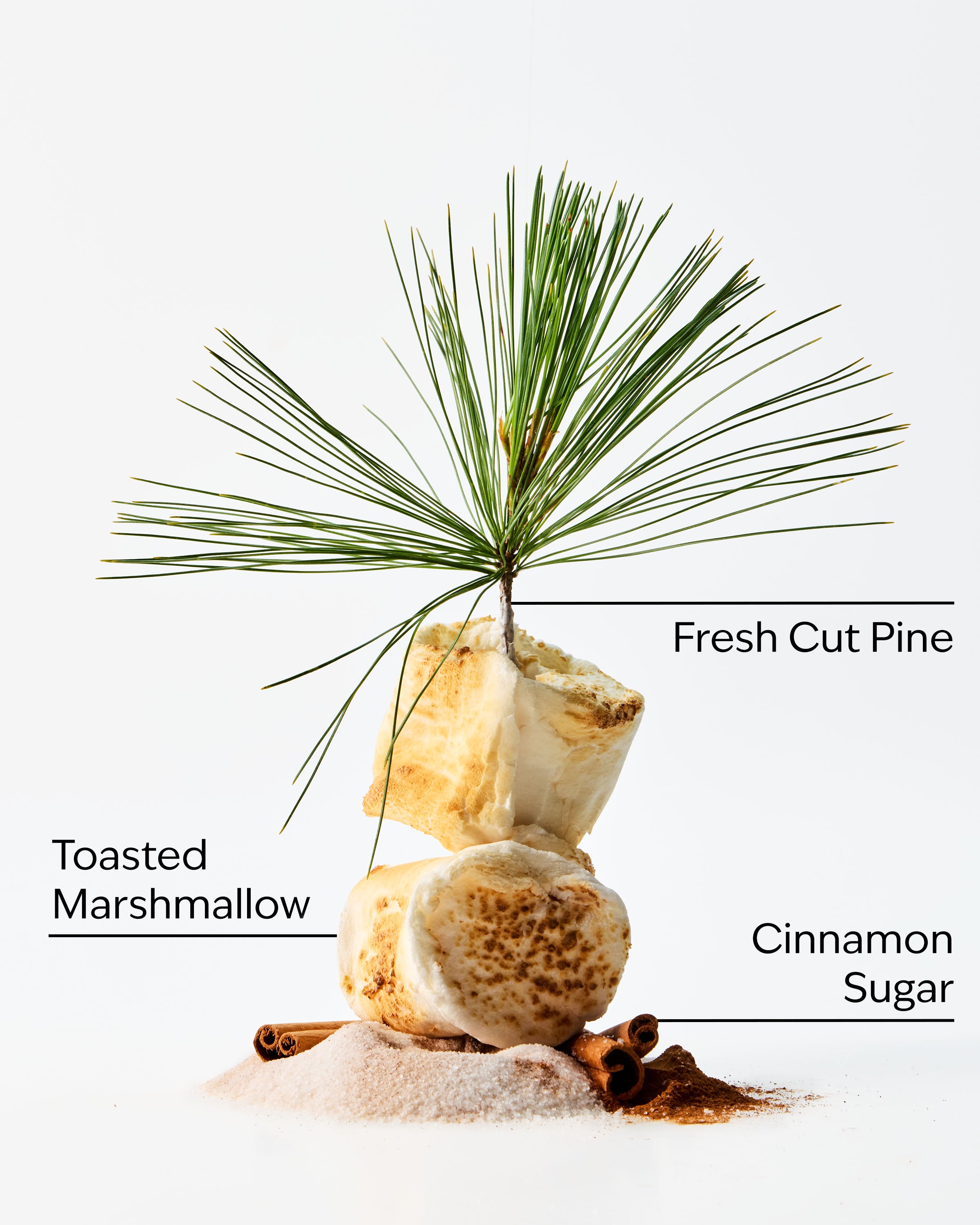 The Perfect Christmas Hanging Fragrance Diffuser