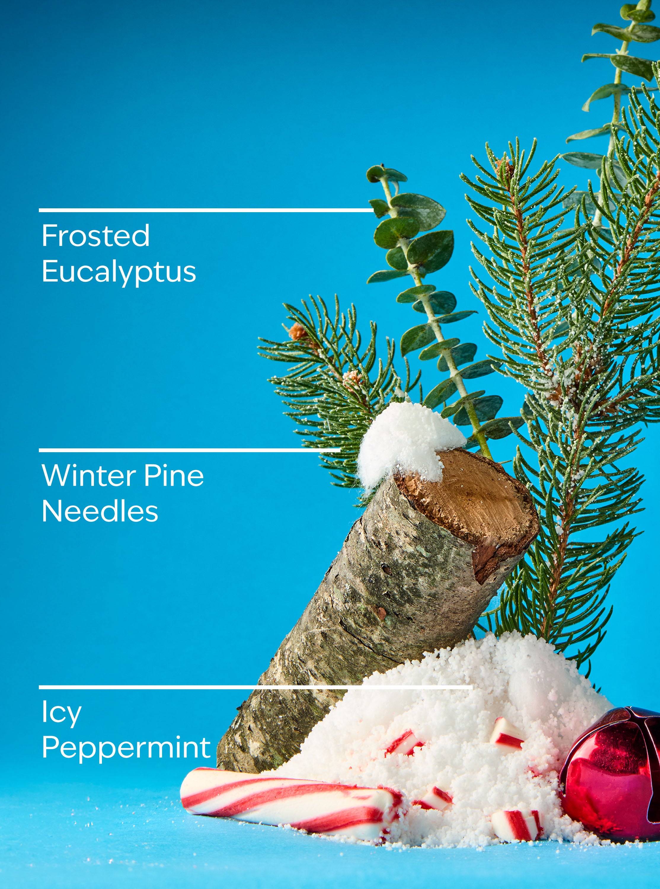 Frosted Forest Gentle & Clean Foaming Hand Soap