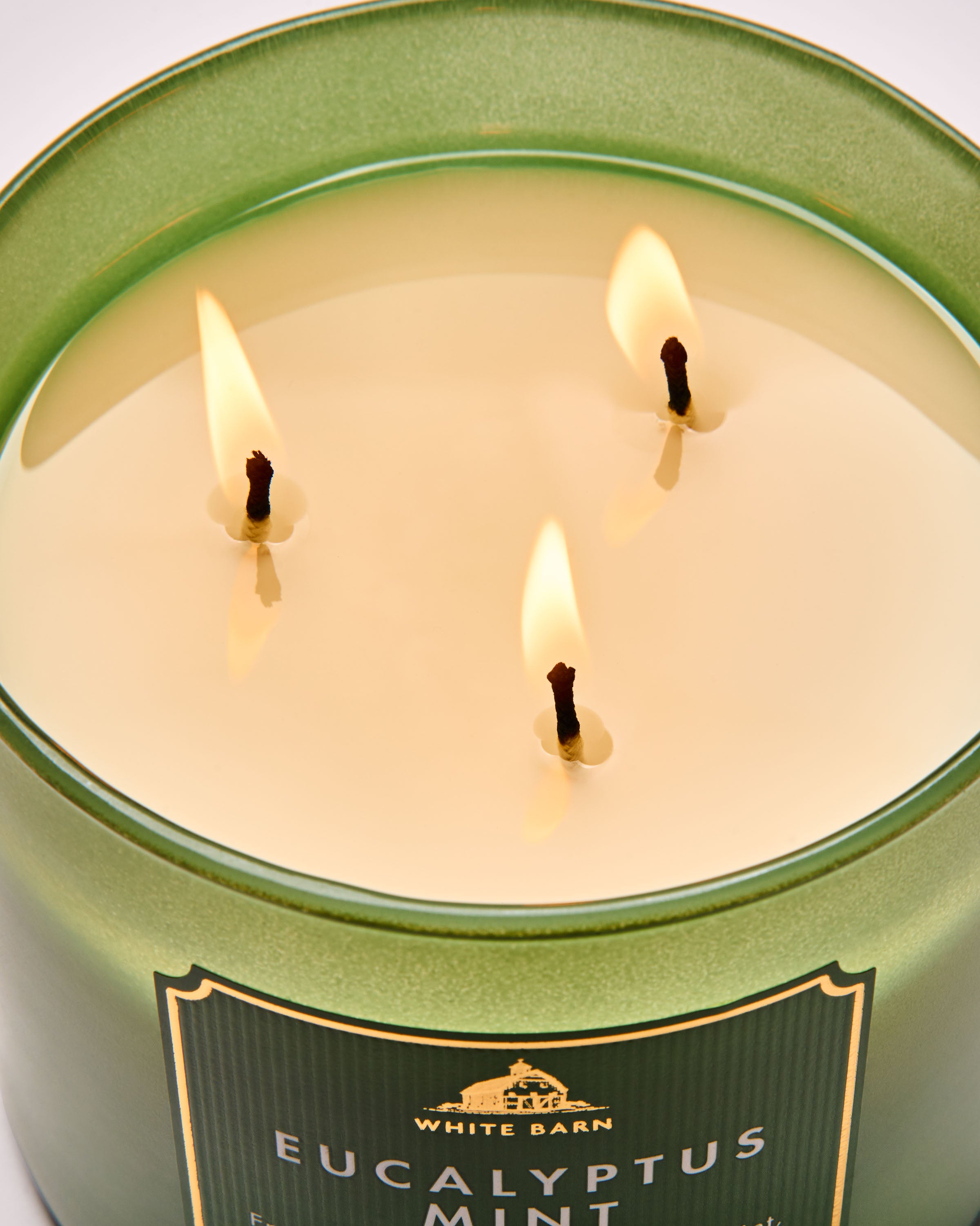Eucalyptus Mint 3-Wick Candle