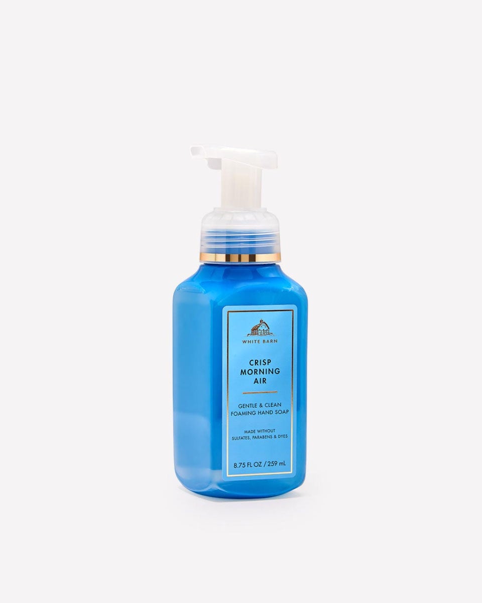Crisp Morning Air Foaming Hand Soap | Bath & Body Works