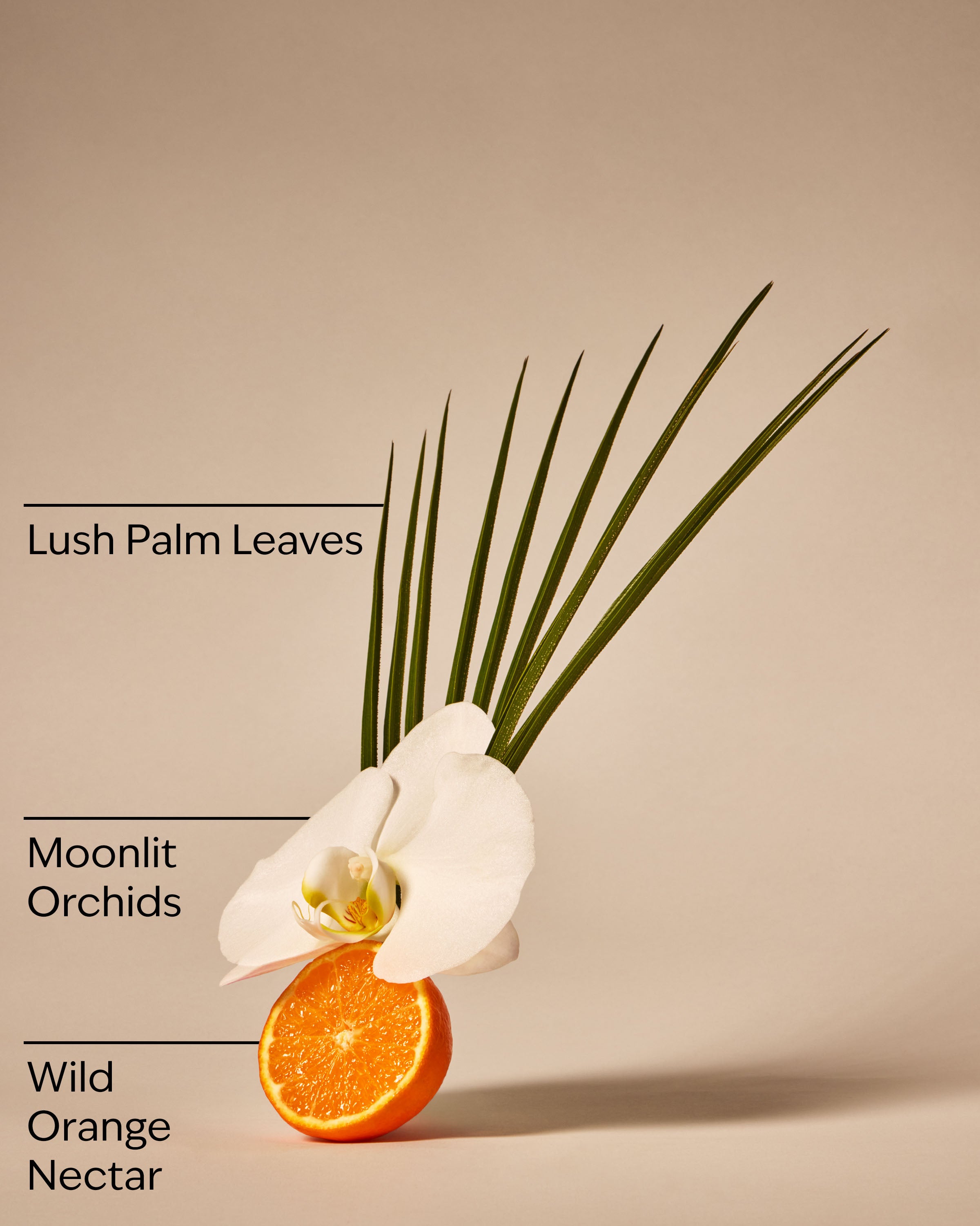 Canopy Dreams Wallflowers Fragrance Refill