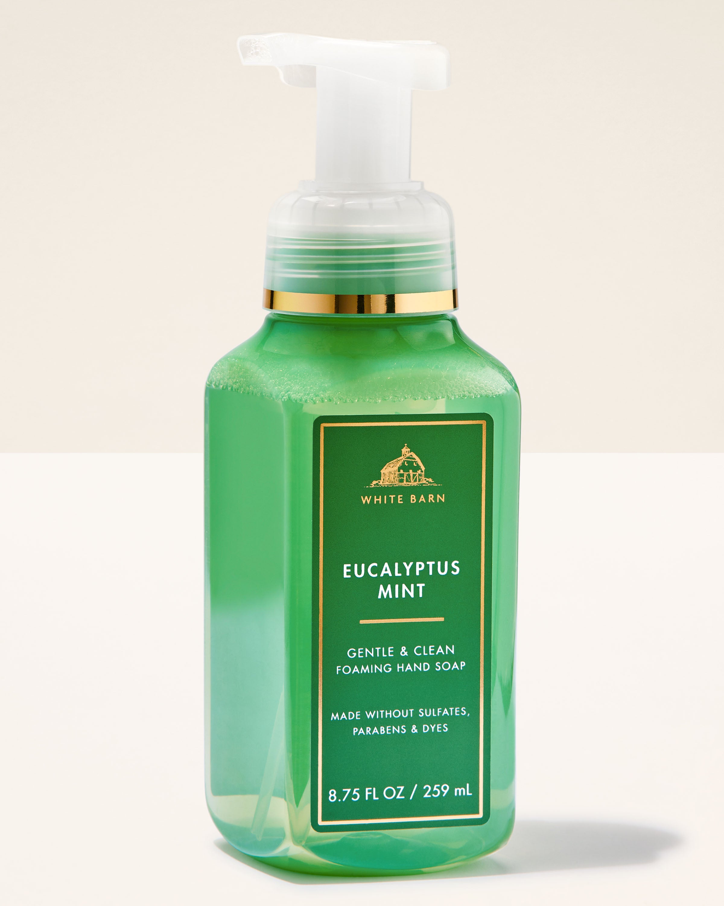Eucalyptus Mint Gentle & Clean Foaming Hand Soap