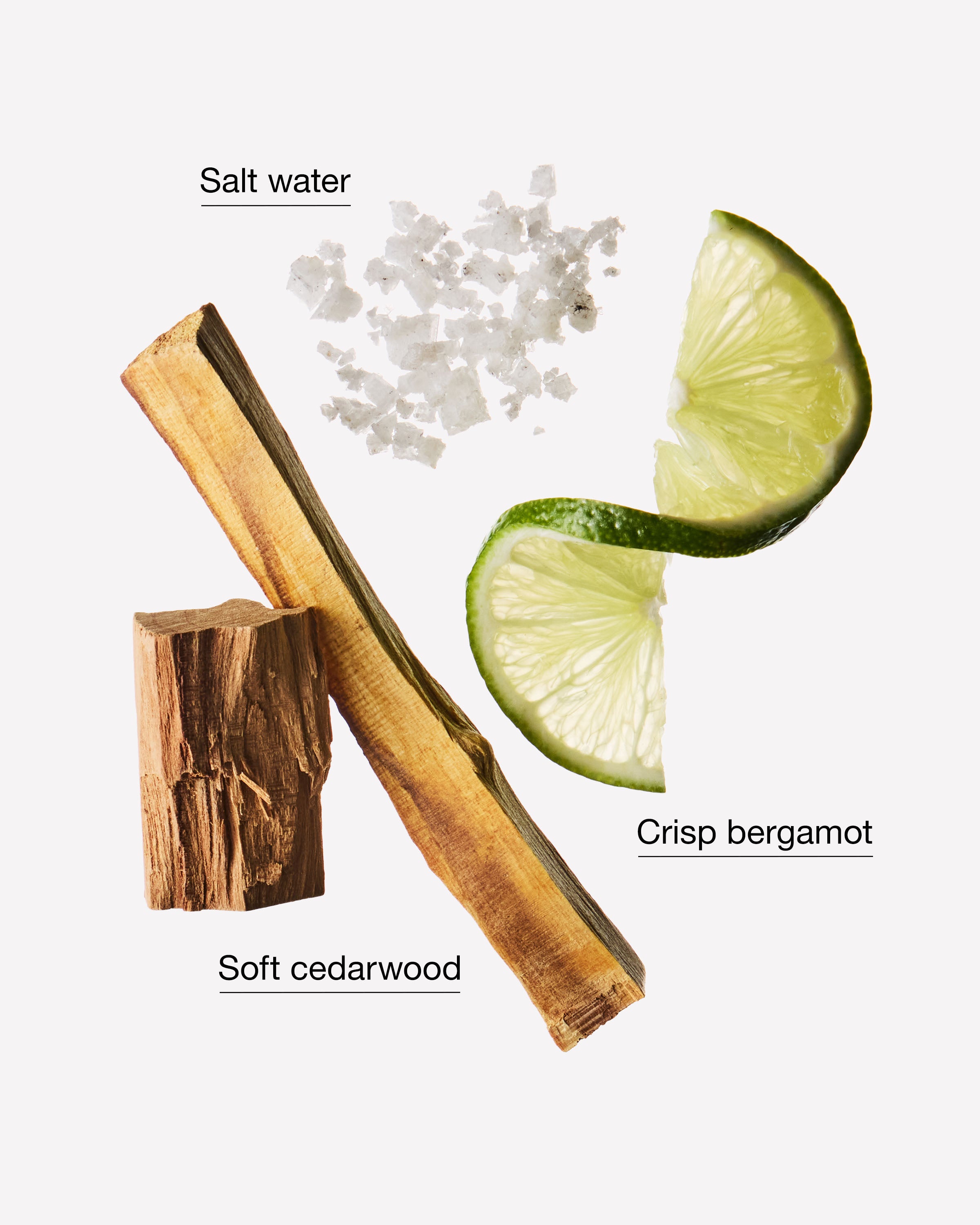 Cedarwood Forest Gentle & Clean Foaming Hand Soap