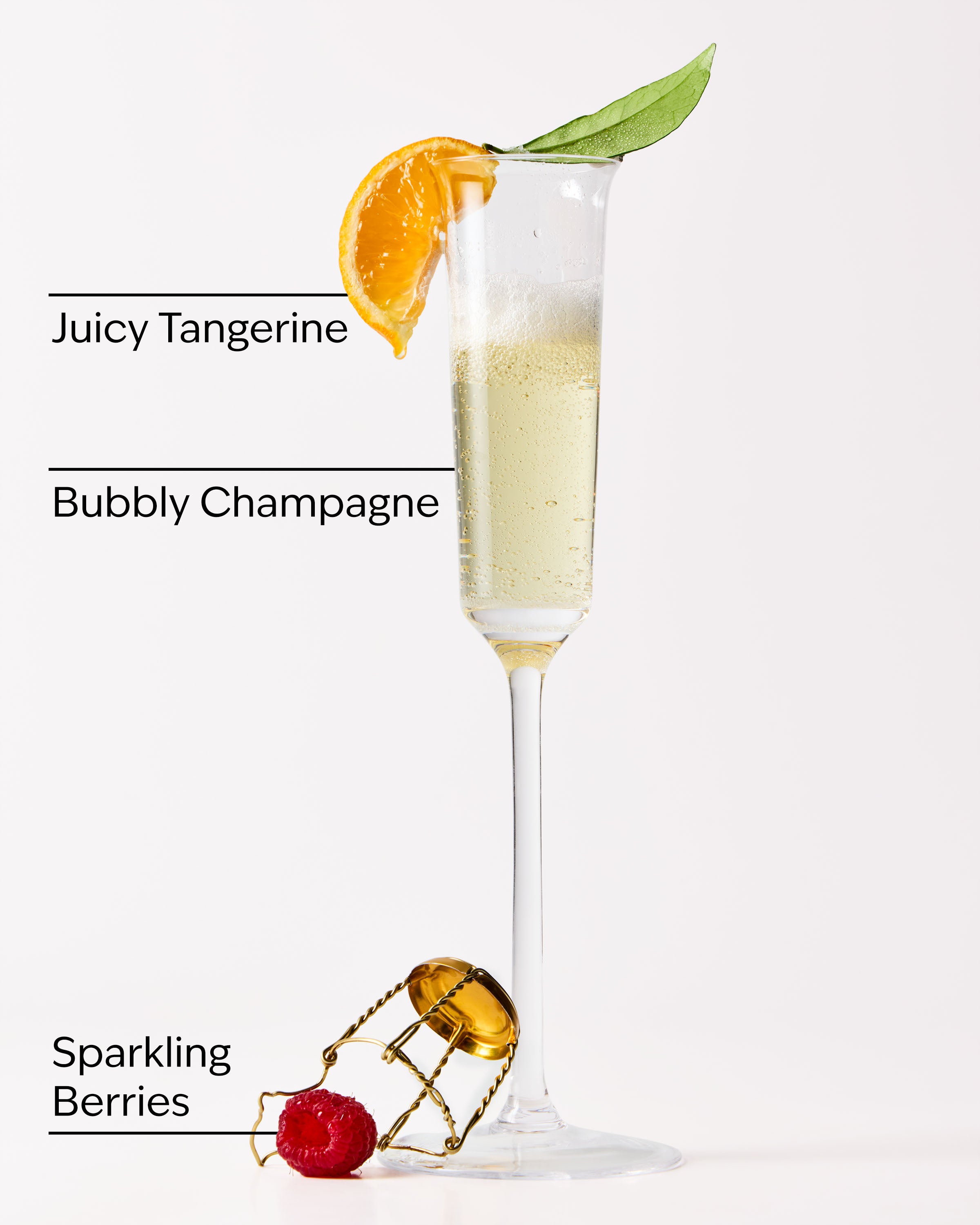 Champagne Toast Moisturizing Body Wash