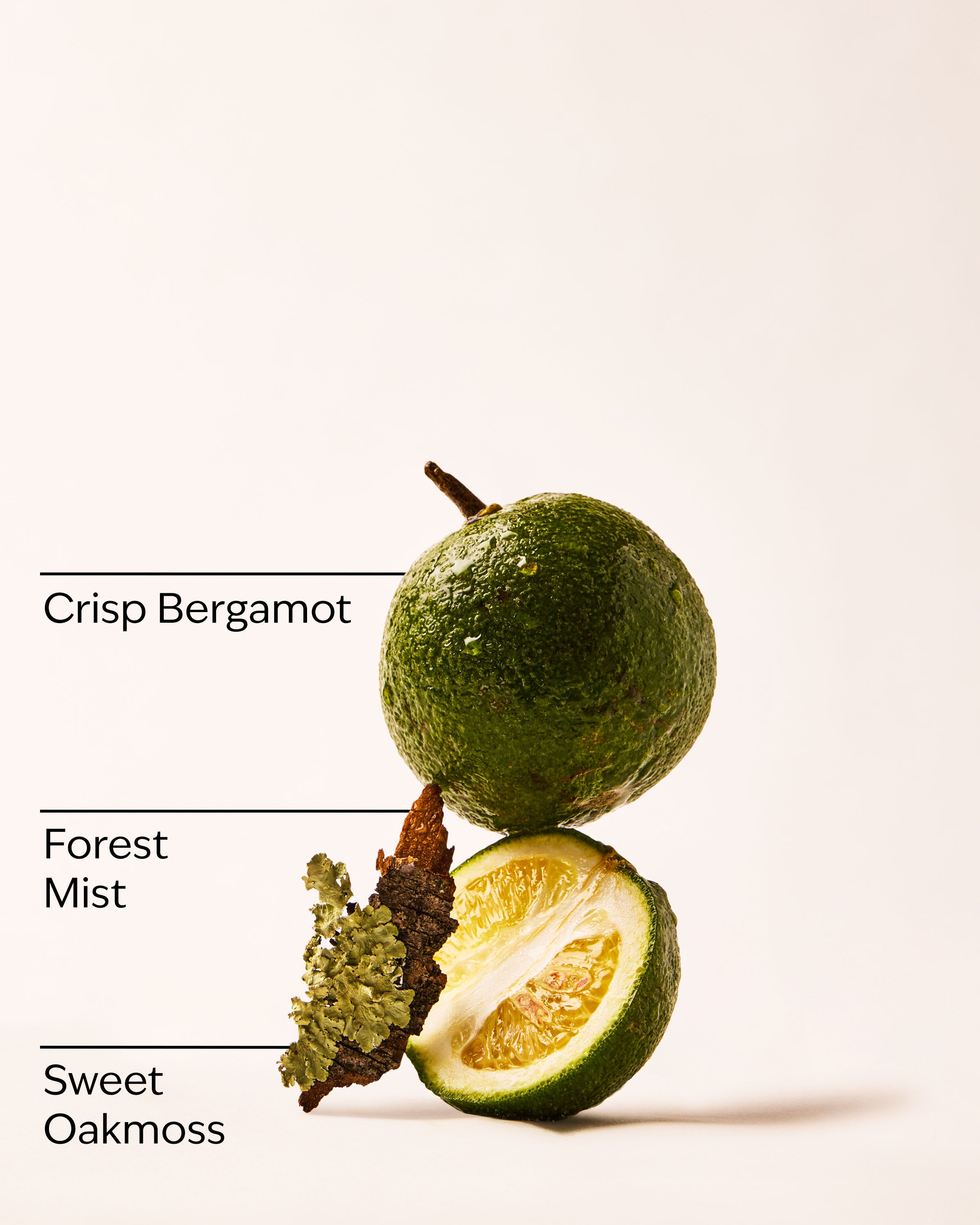 A Quiet Escape Wallflowers Fragrance Refill