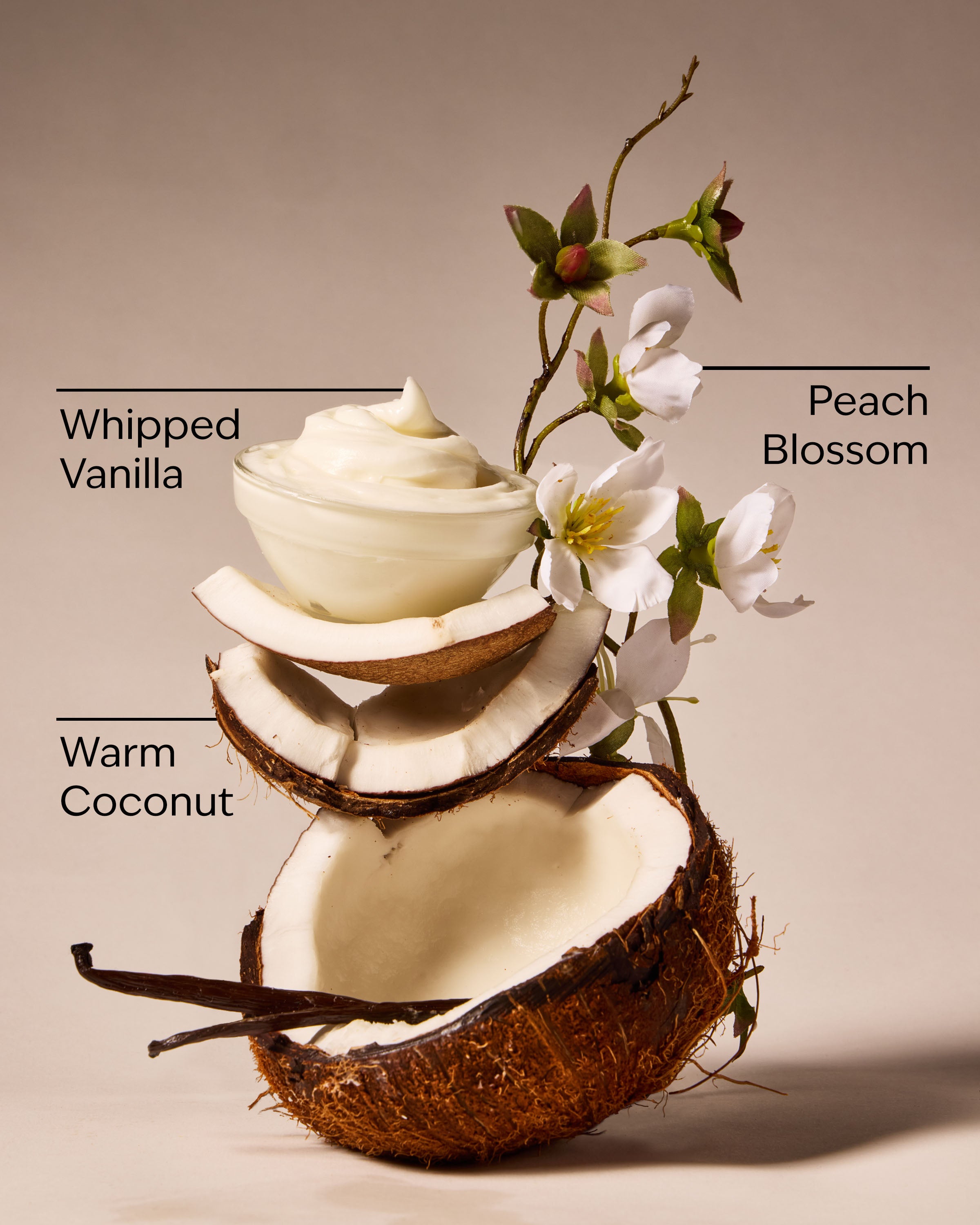 Vanilla Coconut Gentle & Clean Foaming Hand Soap