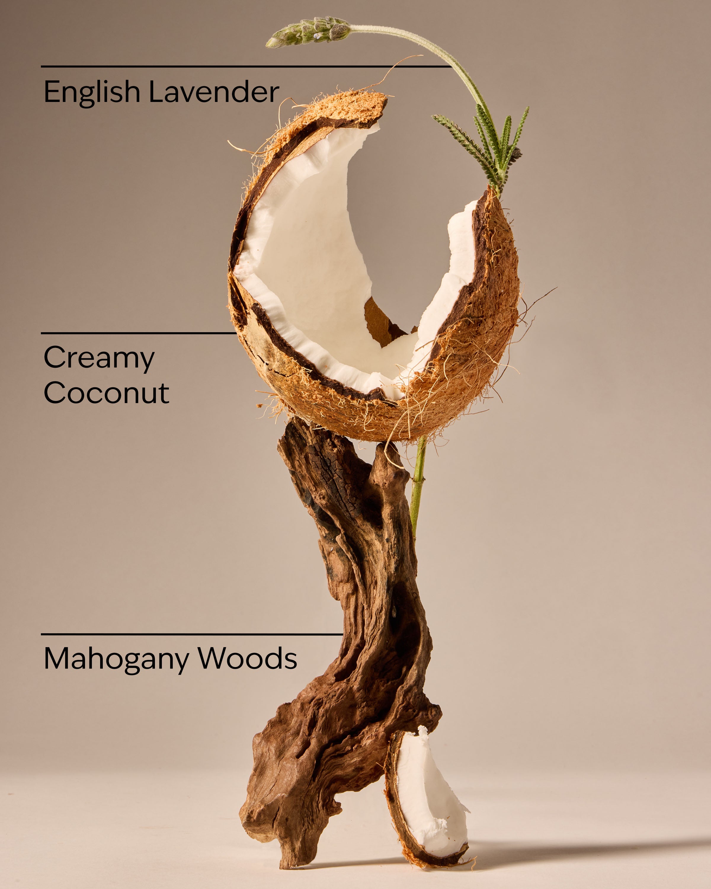 Mahogany Coconut Car Fragrance Refill