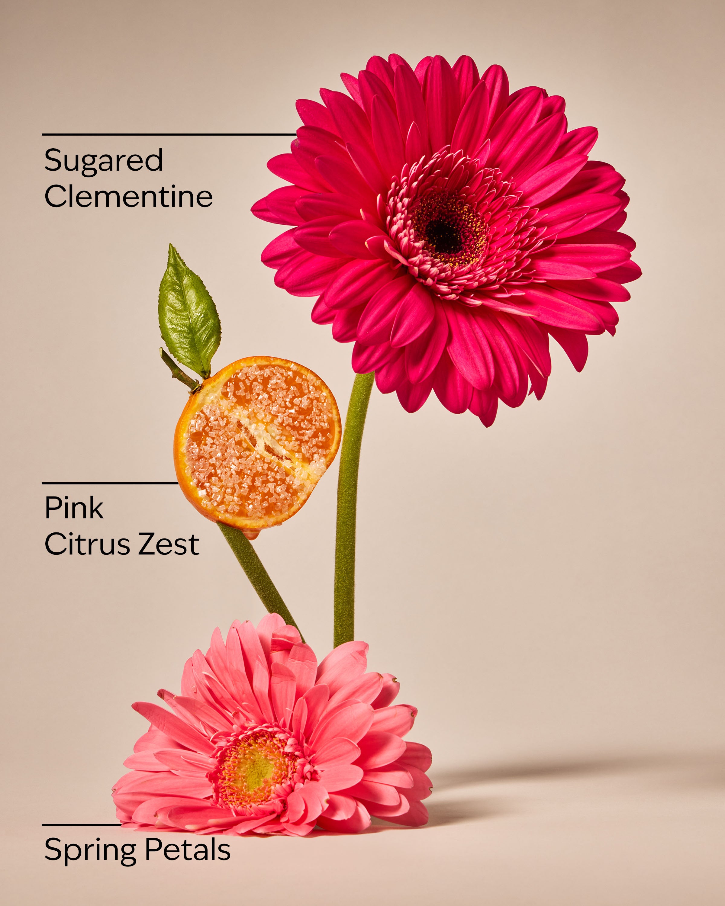 Pink Clementine Cleansing Gel Hand Soap