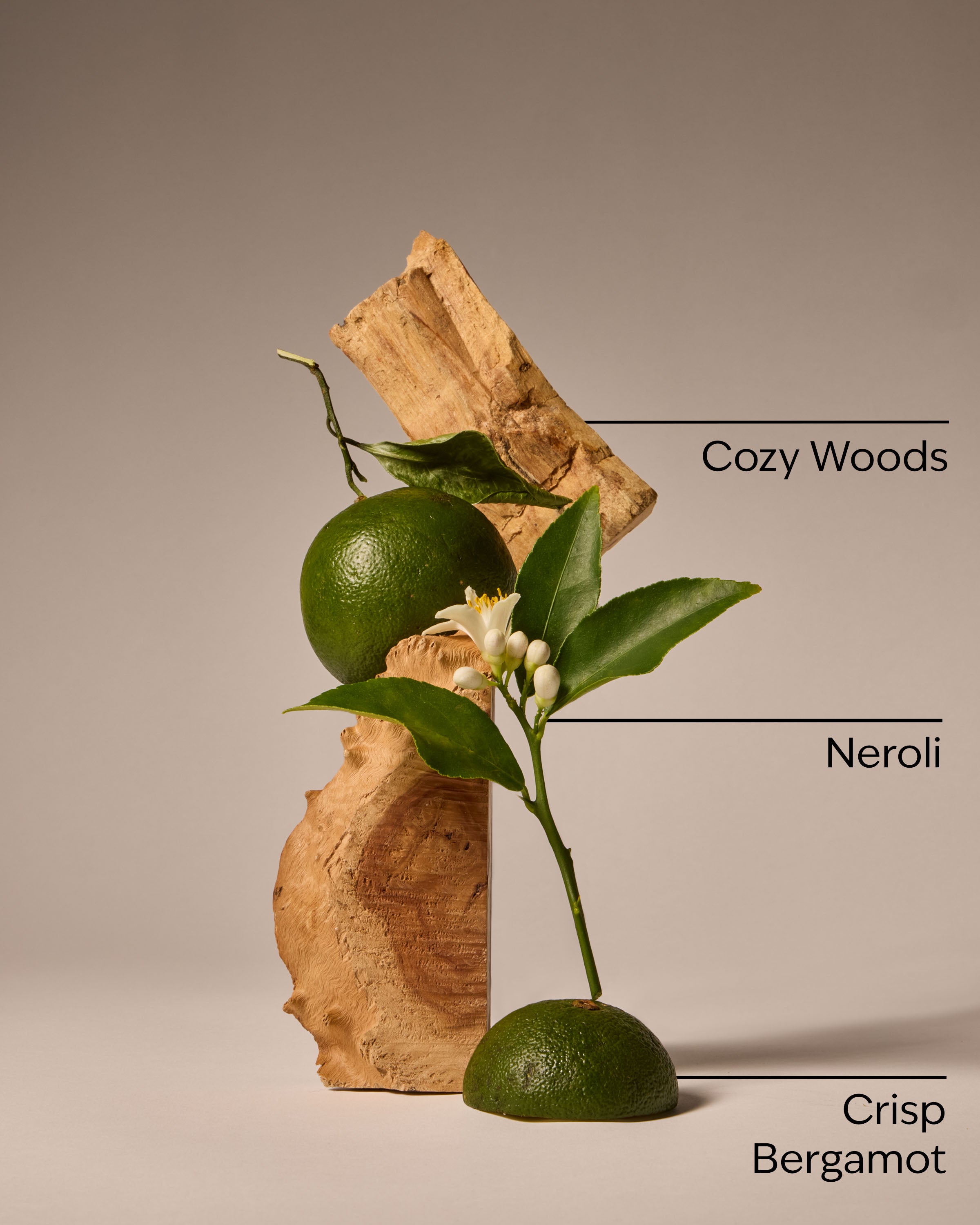 Book Loft Car Fragrance Refill