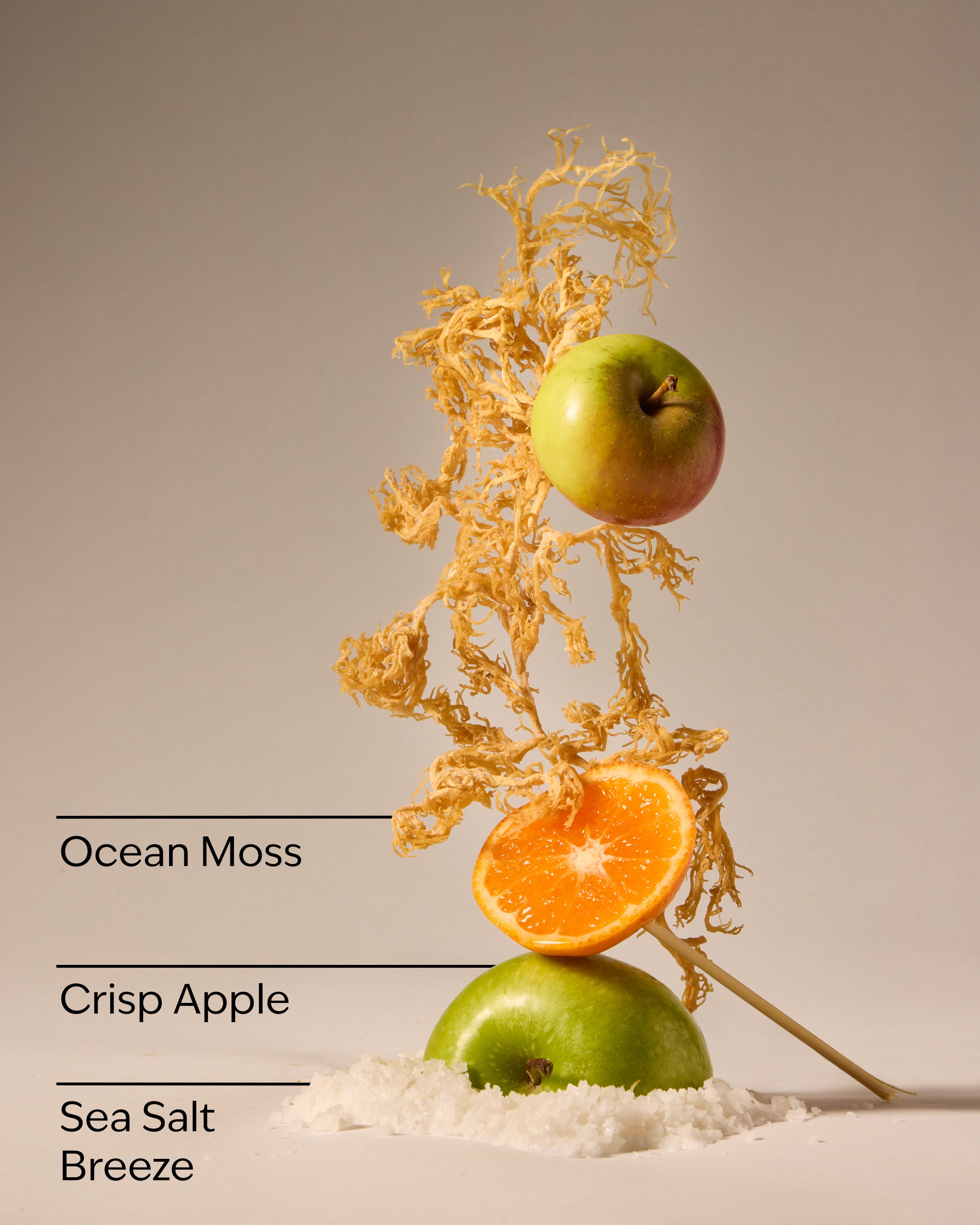 Marine Waves & Citrus Gentle & Clean Foaming Hand Soap